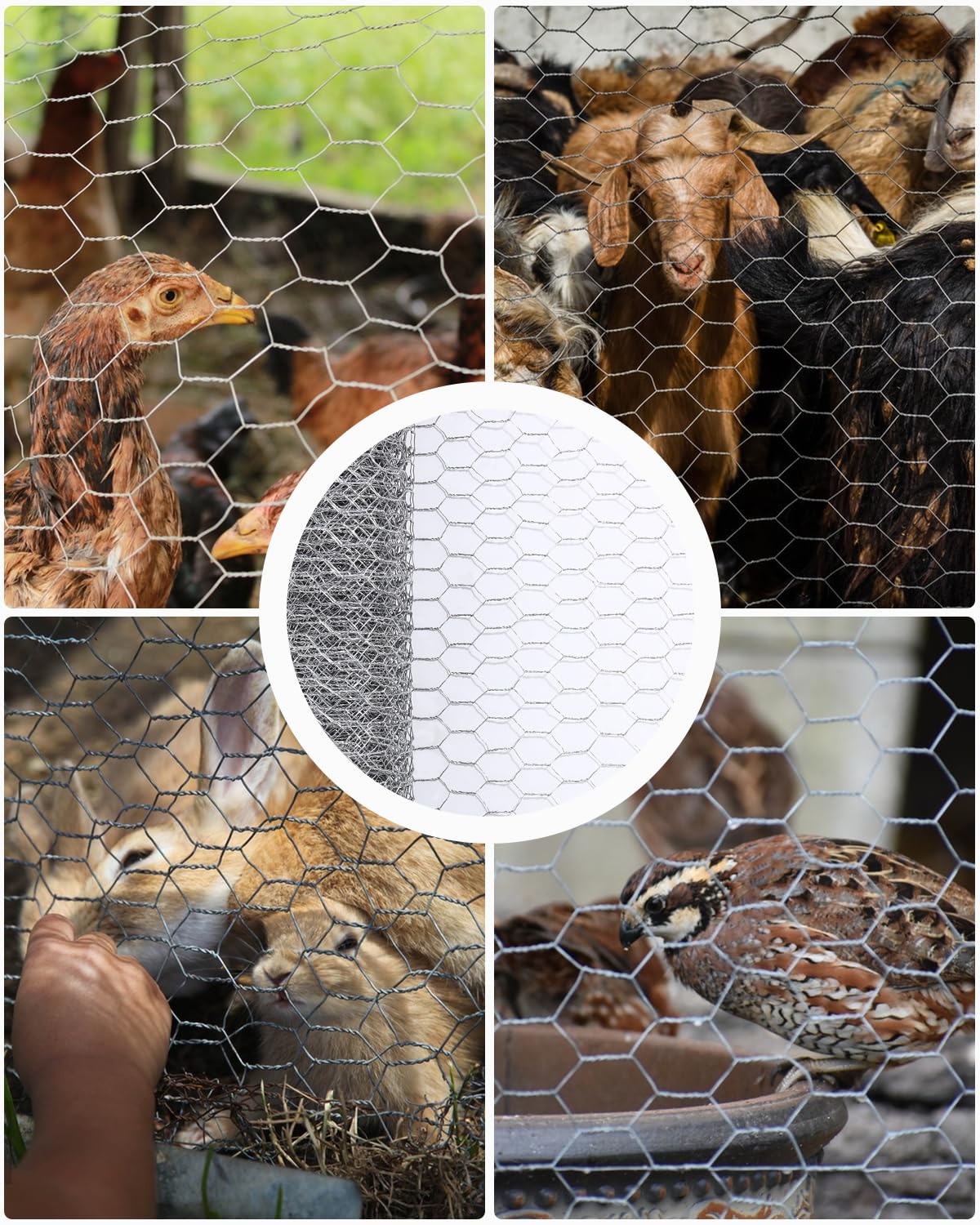 Garix Treillis Hexagonal | Grillage Clôture pour Poulailler Lapin