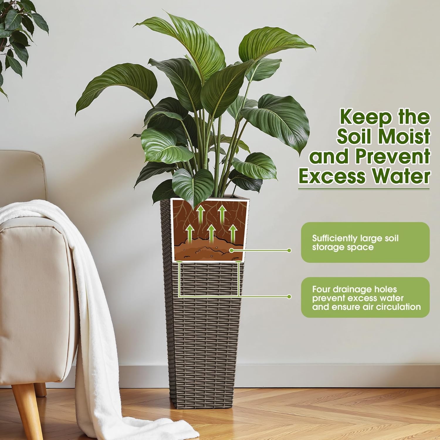 Planter with plant, showing soil and drainage system