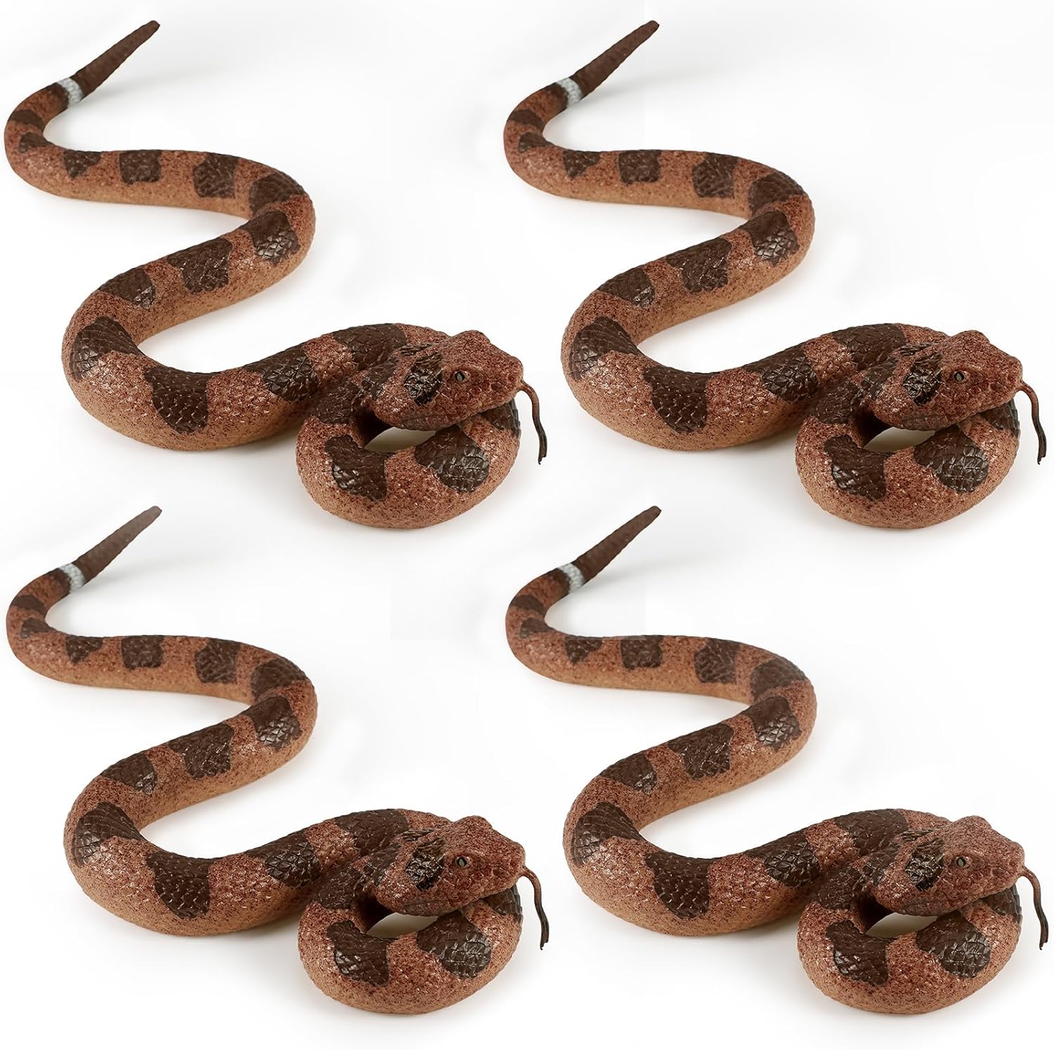 How To Make A Snake Not Stressed at Nick Lopez blog