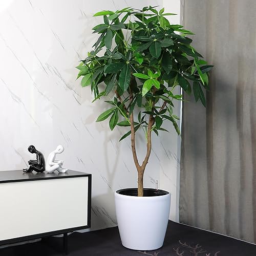 Vista 6 de Dexceder 15x14 Maceta de Autorriego con Ruedas para Interior y Exterior, Diseño de Maceta Interna, Maceta Grande y Gruesa para Piso con Indicador