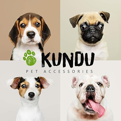 Miniatura 9 de Kundu Bolsa de viaje para gatos y perros, incluye 2 transportadores de alimentos, 2 cuencos y tapete individual - Aprobado por aerolíneas - Negro,