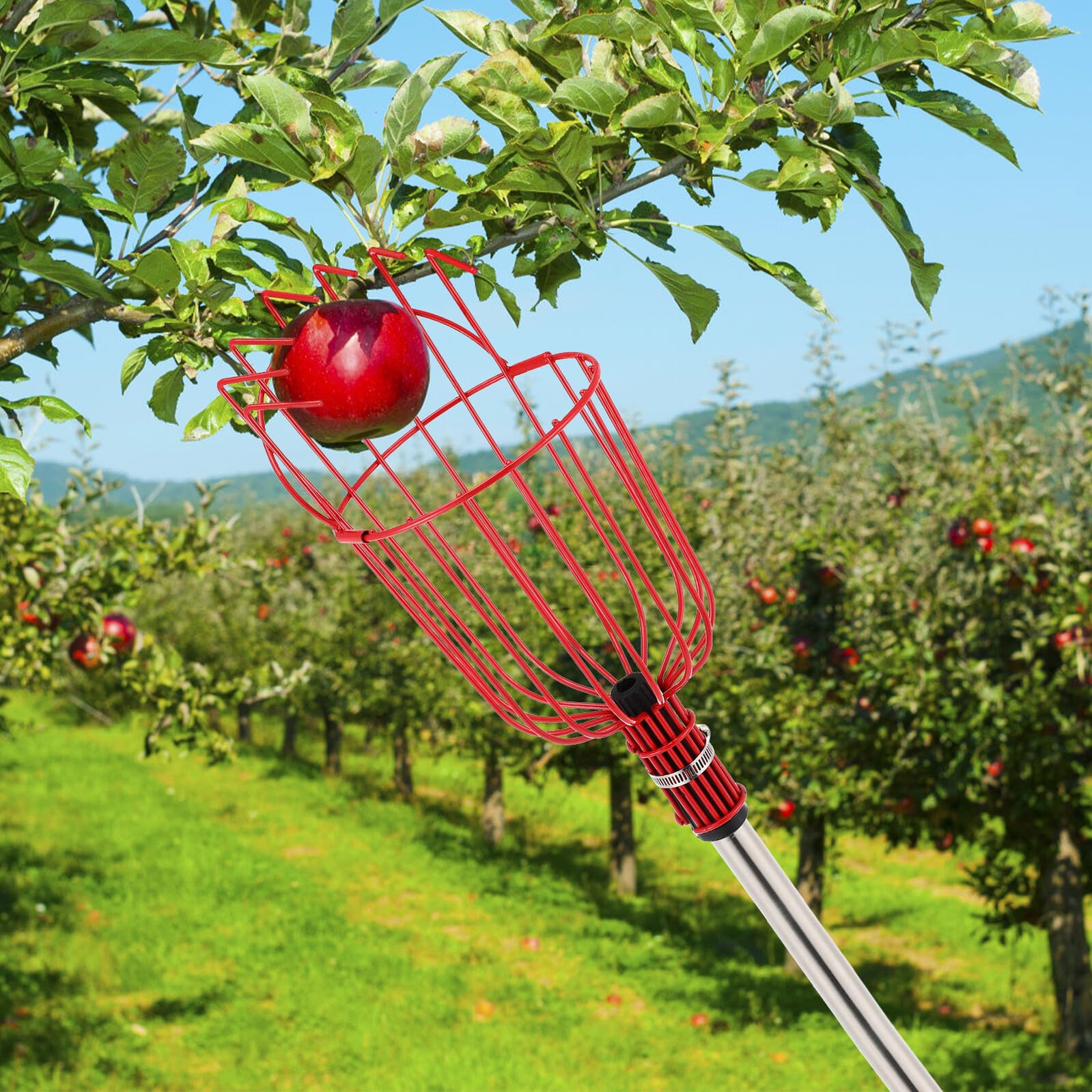 Cueille-Fruits Télescopique en Acier Inoxydable 1,2 Mètre, Outil de Cueillette pour Arbres Fruitiers Panier Rembourré, Léger et Robuste, Ramasse Fruits pour Orangers et Poiriers