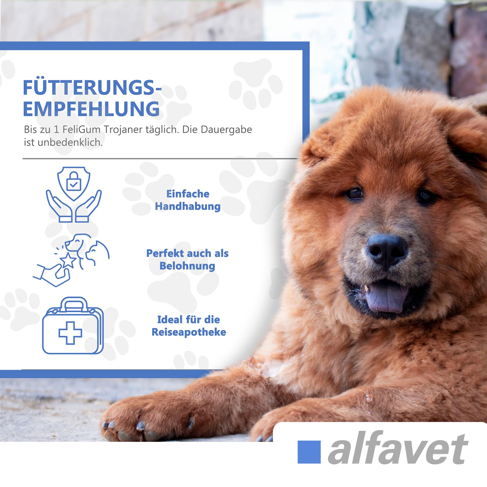 Alfavet FeliGum Trojaner, Box 30 x 10 g, Medikamentenversteck als Snack formbar, Ergänzungsfuttermittel für Hunde und Katzen