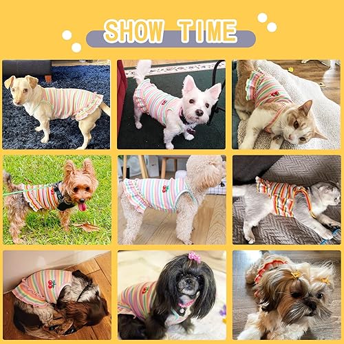 Miniatura 3 de Lindo vestido de perro para perros pequeños y niña, ropa de cumpleaños, ropa de primavera y verano, trajes de perro, arco iris, colorido, a rayas,