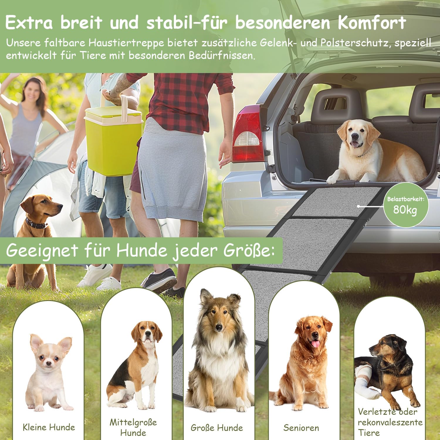 Hunderampe Auto Klappbar 170x44cm, Faltbare & rutschfeste Hundetreppe Auto & SUV bis 80kg, Aluminium Rampe mit Schlingen-Teppich Oberfläche, Leicht & Stabil, Hund Rampe Grau