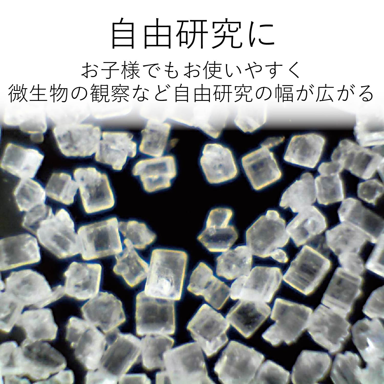 Amazon | エレコム USBマイクロスコープ 130万画素 シルバー UCAM