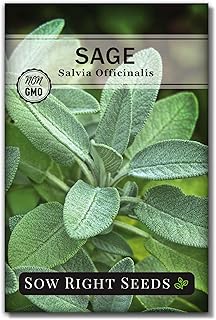 Sow Right Seeds - Sage Seeds for Planting - Non-GMO Heirloom Sage Seeds with Instructions to Plant and Grow Kitchen Herb G...