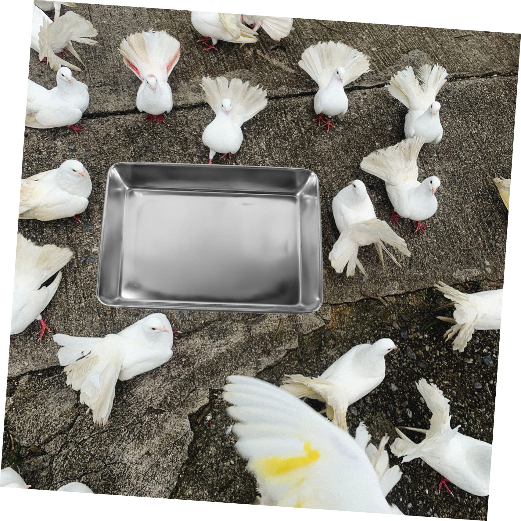 Vogelbadewanne aus Edelstahl für Käfig, Taubendusche Silber