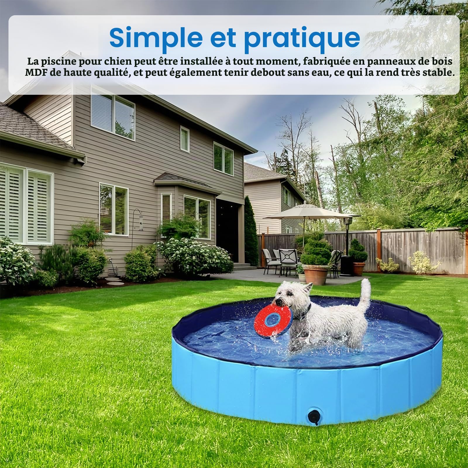 Piscine Pour Chien, Piscine Pliable Pour Chien, Baignoire Pour Chien Bassin Pour Chiens Baignoire Pliable Pour Chien Pataugeoire Piscine Pour Animaux Résistante À L'usure Et Antidérapante 80x20cm Bleu