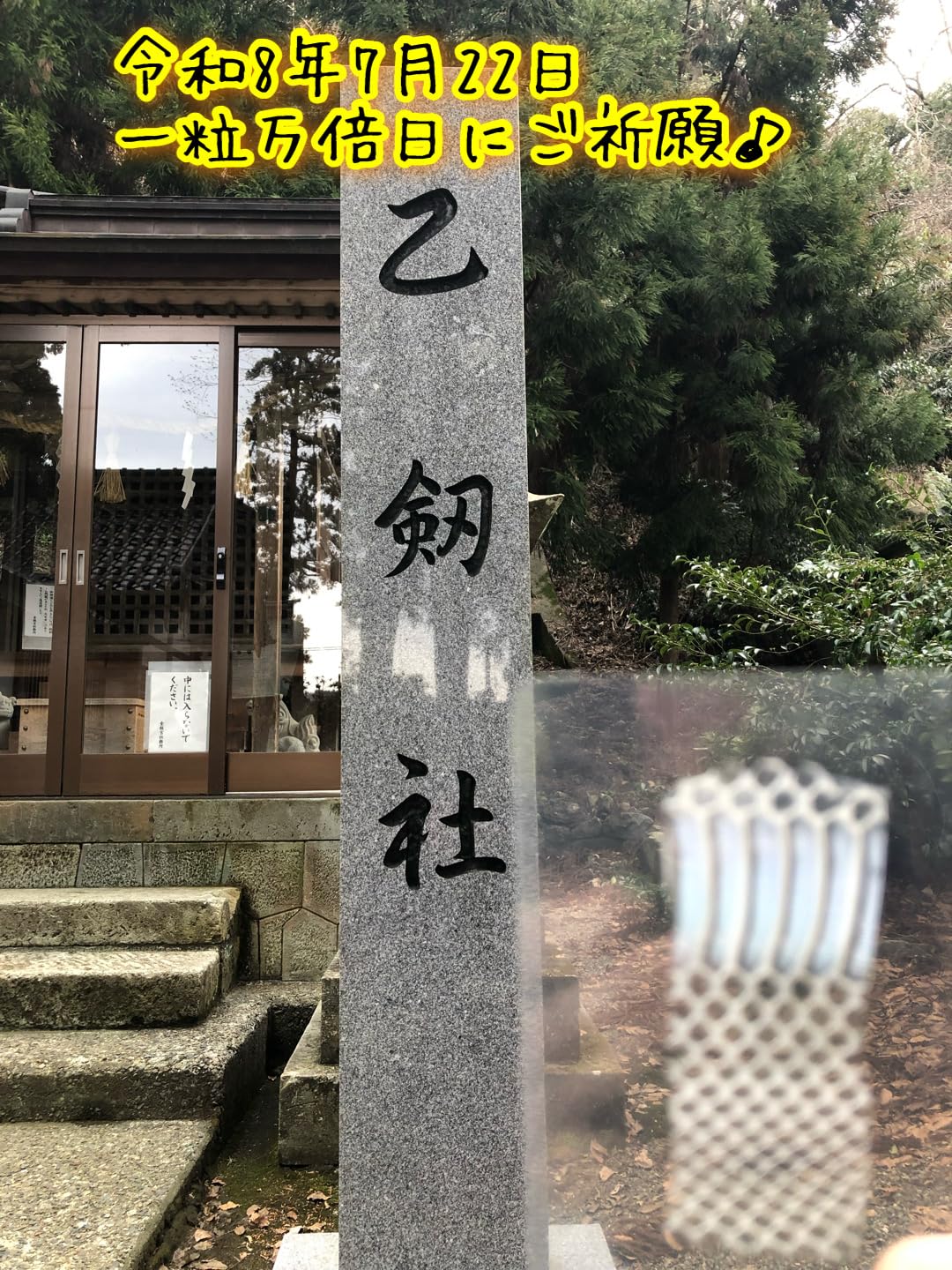 Amazon.co.jp: 笑い家謹製【ご祈願！ 天然物！】白蛇の抜け殻 日本三大