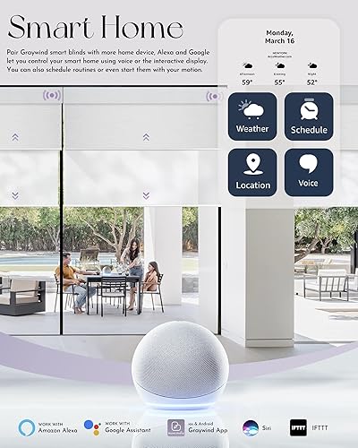 Miniatura 3 de Graywind Persianas dobles motorizadas para ventanas, persianas dobles inteligentes opacas y transparentes con control remoto Alexa Google Control