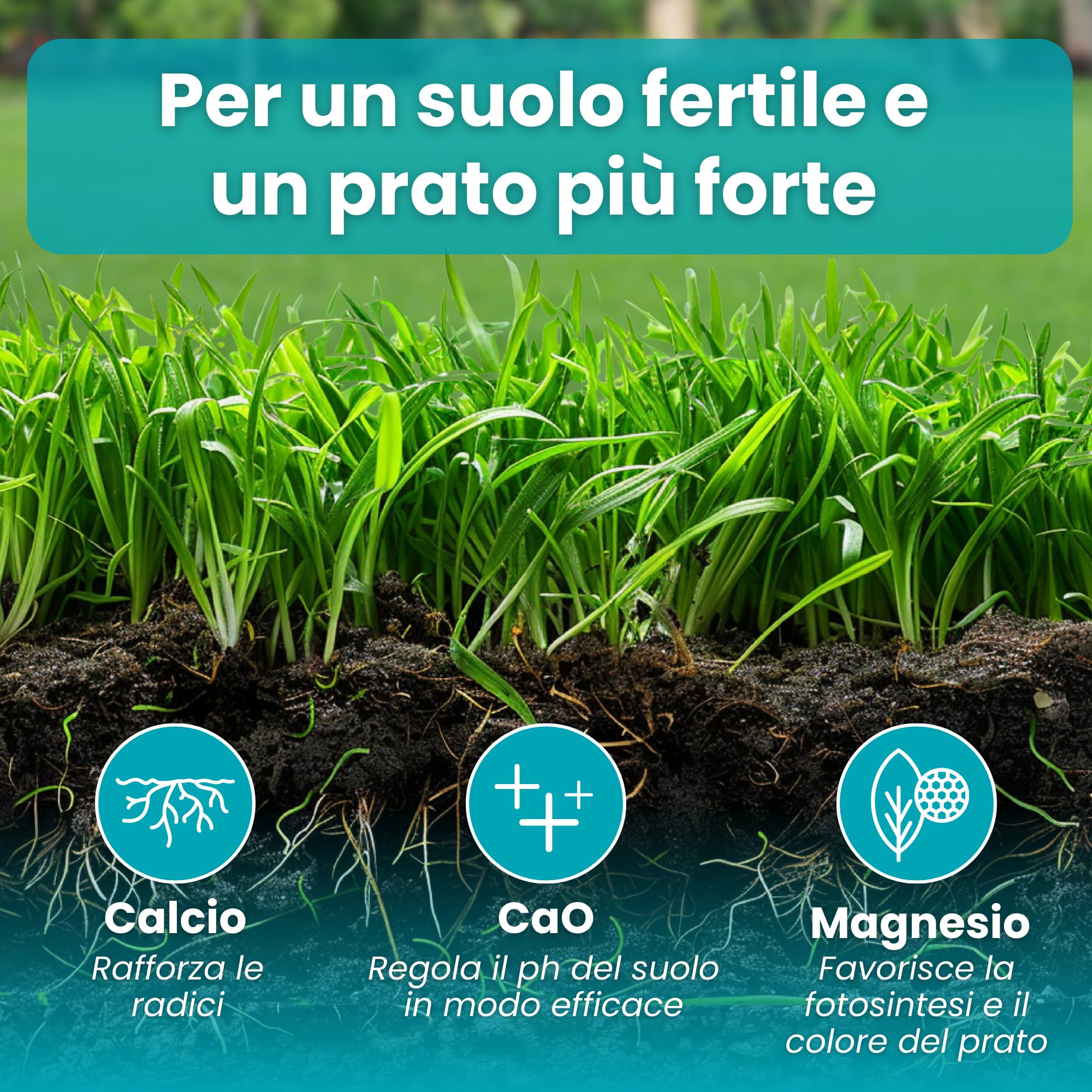 LERAVA Revive (18 kg) - Calce per prato per equilibrio pH ottimale - ammendante per migliorare struttura e fertilità del suolo - apporto naturale di calcio per un prato sano e resistente