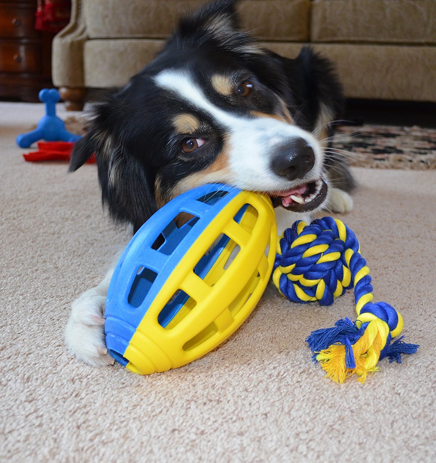 PetSport Flea Flicker Football Strong TPR Toy for Medium to Large Dogs, Great for Fetch and Retrieve