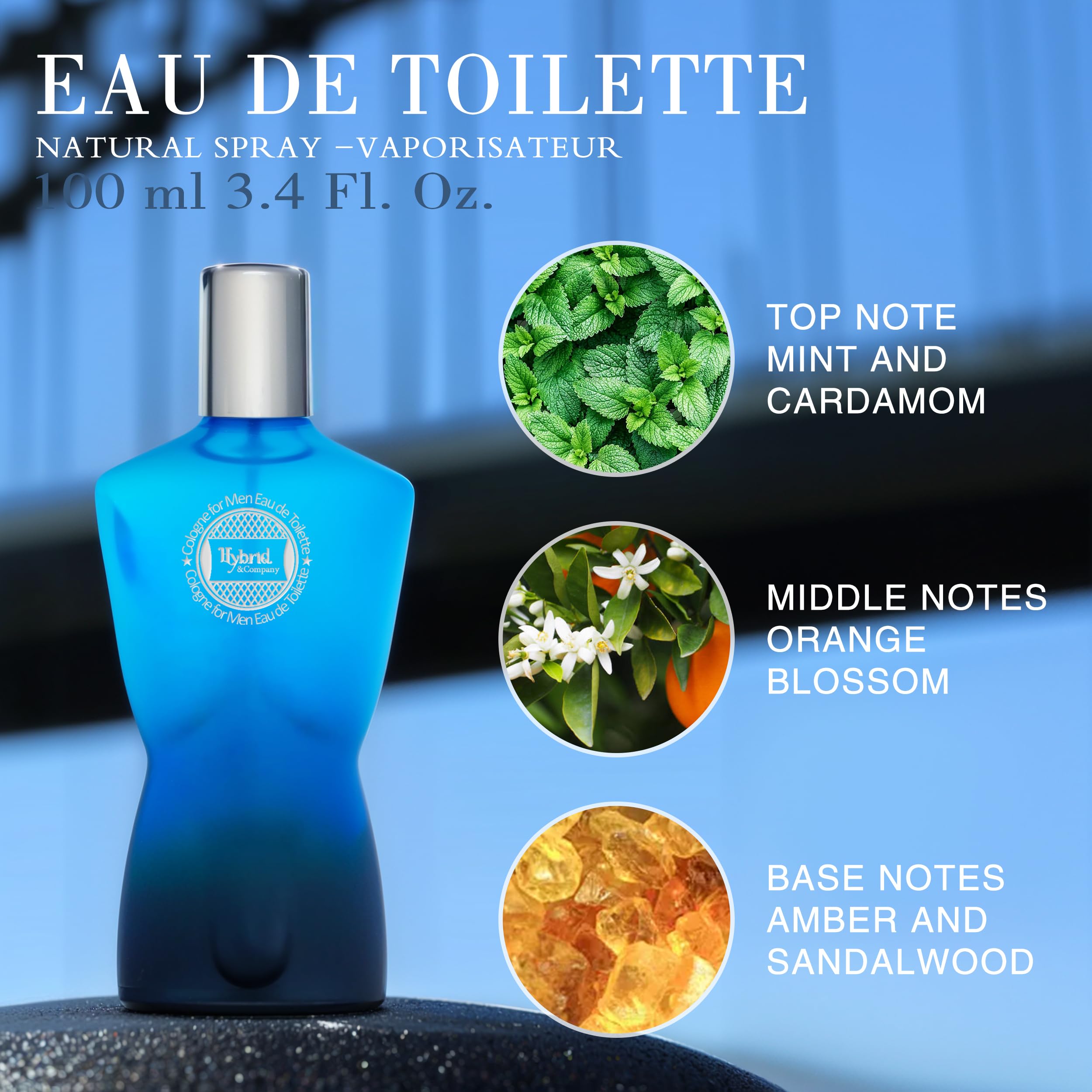 Amazon.com : Hybrid & Company Blue For Men Eau De Toilette Natural