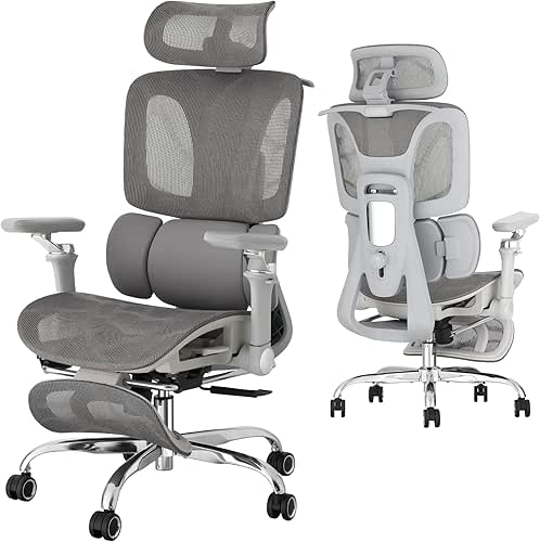 Ergonomic Office Chair with 3-Zone Dynamic Lumbar Support, Big and