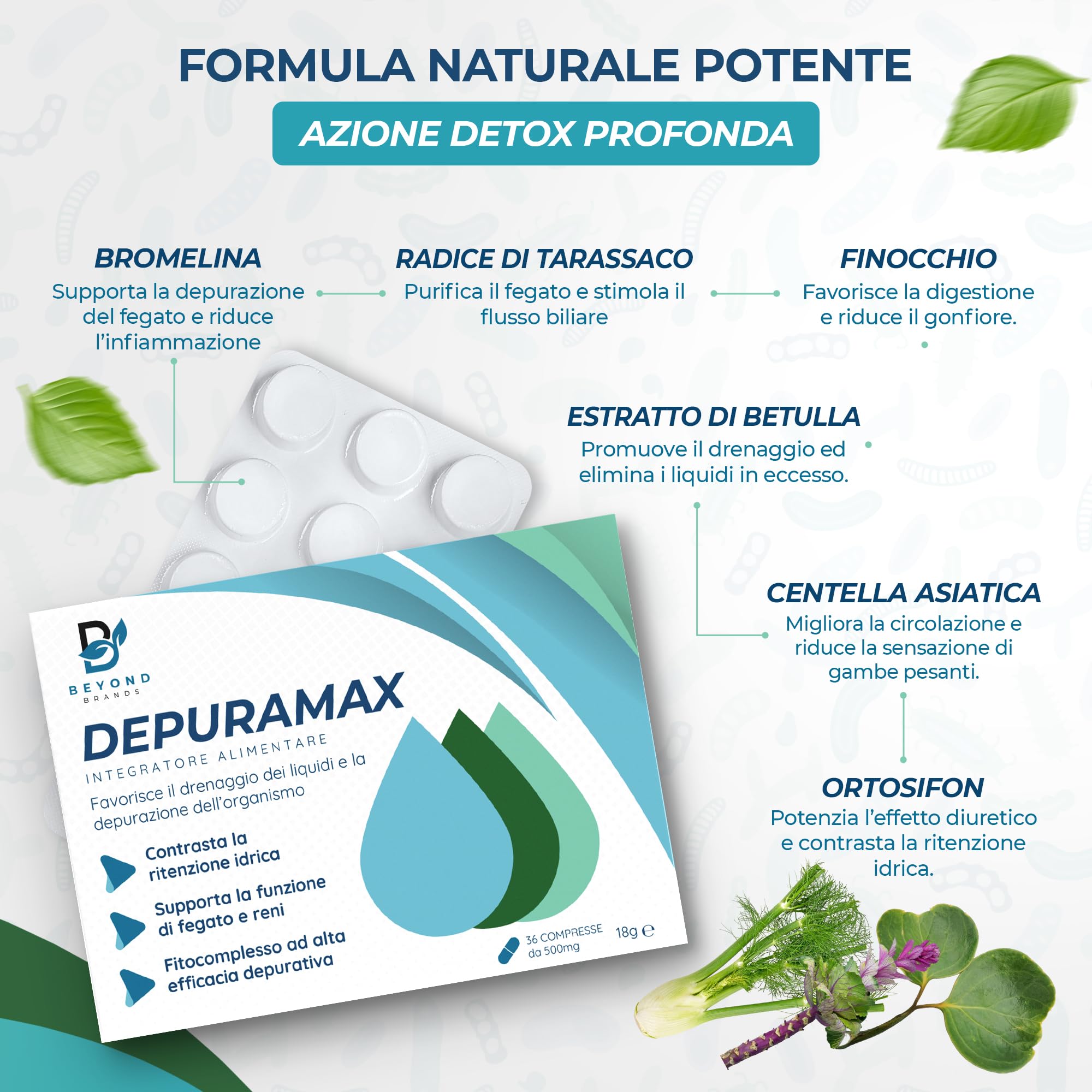Detox Fegato ed Intestino Diuretico Drenante Forte con Bromelina Betulla Tarassaco Finocchio Centella Asiatica Orthosiphon Alta Efficacia e contro ritenzione Idrica Made in Italy