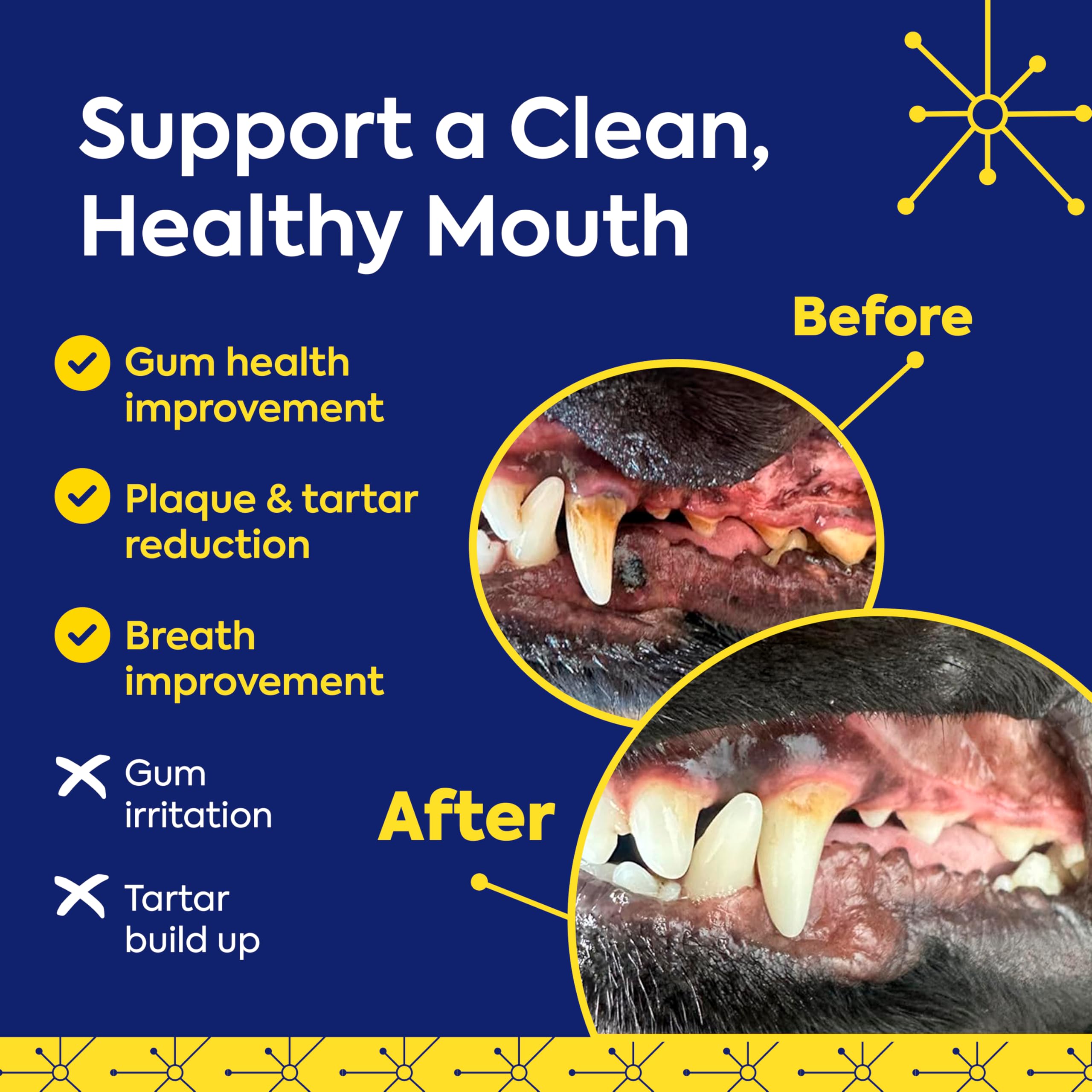 TEEF! Protektin42+K Cuidado dental diario derivado de plantas para todas las mascotas (sin sodio), aditivo de agua dental, combate naturalmente la placa y el sarro, kit dental con 90 porciones de por