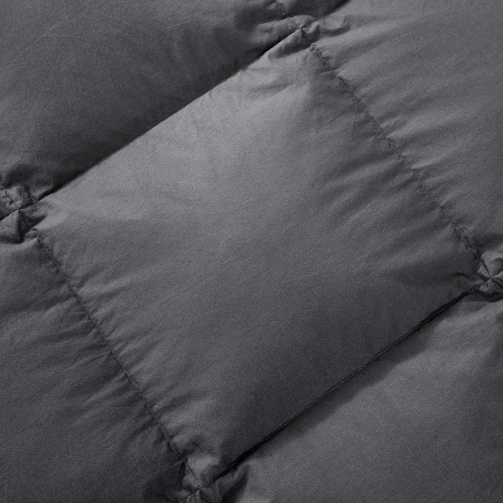 HOMBYS Luxurious Comforter Duvet Insert Queen (Queen, Grey)