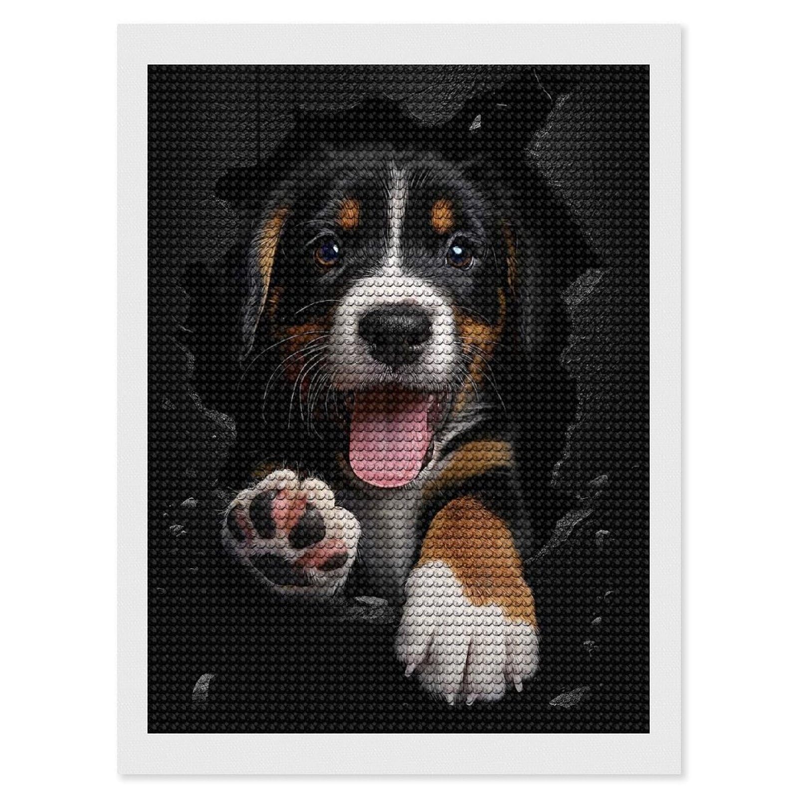 Junmoney Entlebucher Mountain Diamond Painting Canvas Set 12"x16", Mindful Craft Activity, Nice Detail and Sparkle, Farmhouse Decor, Birthday Gift