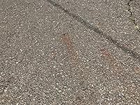 Review Image by aRarebreed aRarebreed