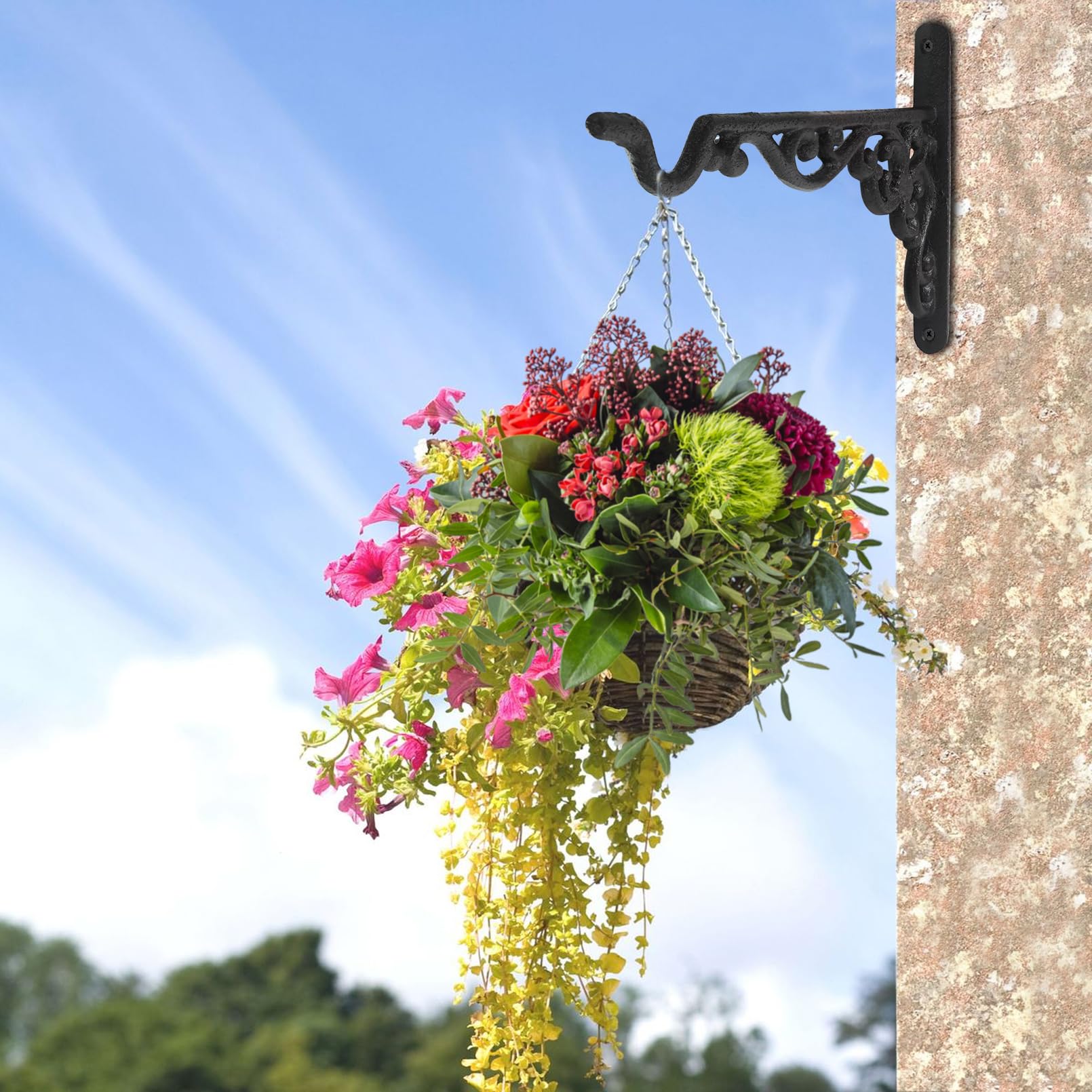 DreamsEden 2 Stück Hängehalterungen für Pflanzen, Gusseisen Wandhaken Pflanzenhänger Blumentopf Vogelfutterspender Laternen Windspiel Wandhalterung Hängehaken Garten Hof Rasen Dekor