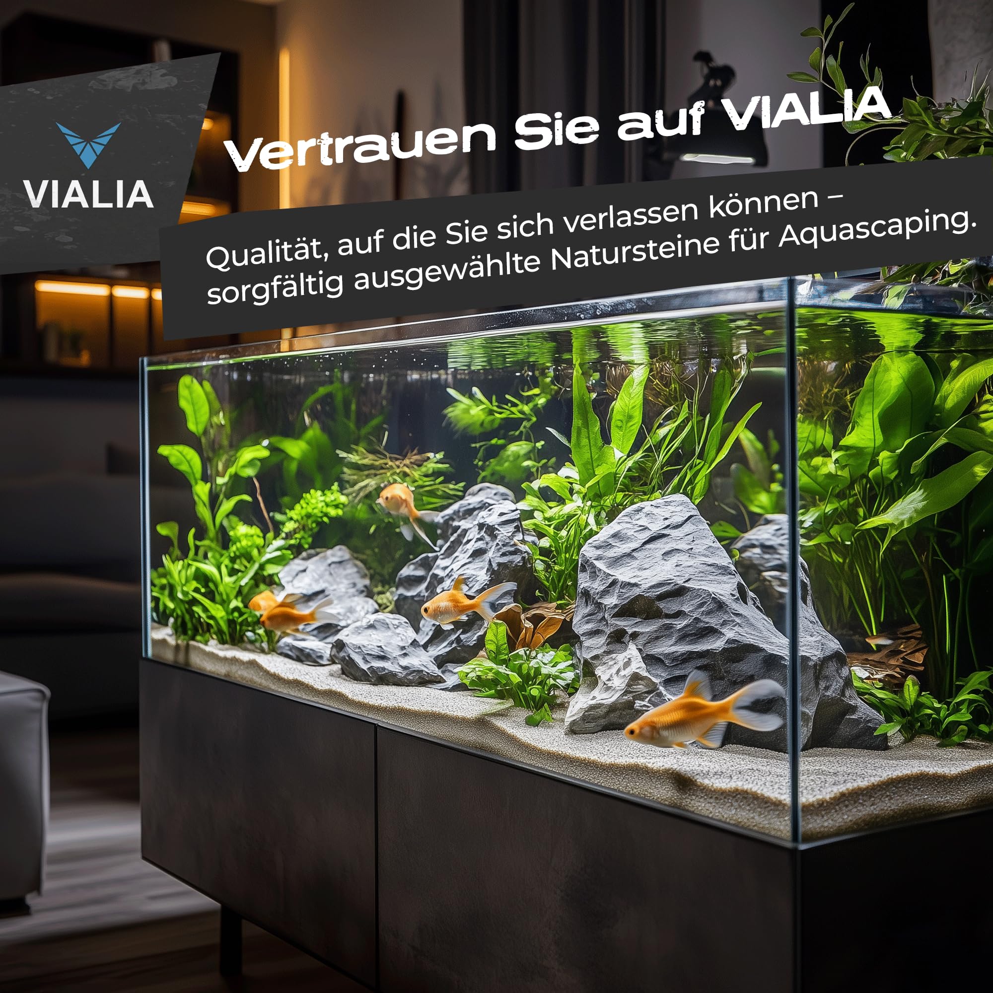 Seiryu Steine 25 kg | Mini Landschaft Aquarium Steine Mix S bis XL | Naturstein Deko für Aquascaping & Terrarium | Einzigartige Formen & Farben | Unterstützt stabiles Wasserklima