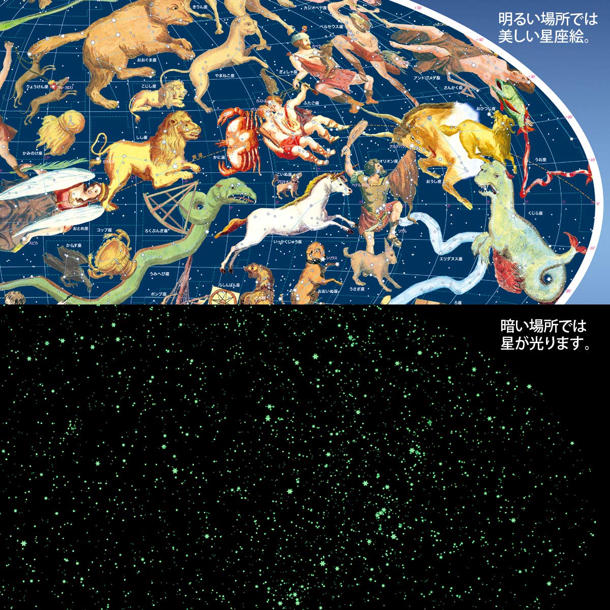 Amazon | 星の手帖社 全天88星座絵図ポスター | 宇宙・天文