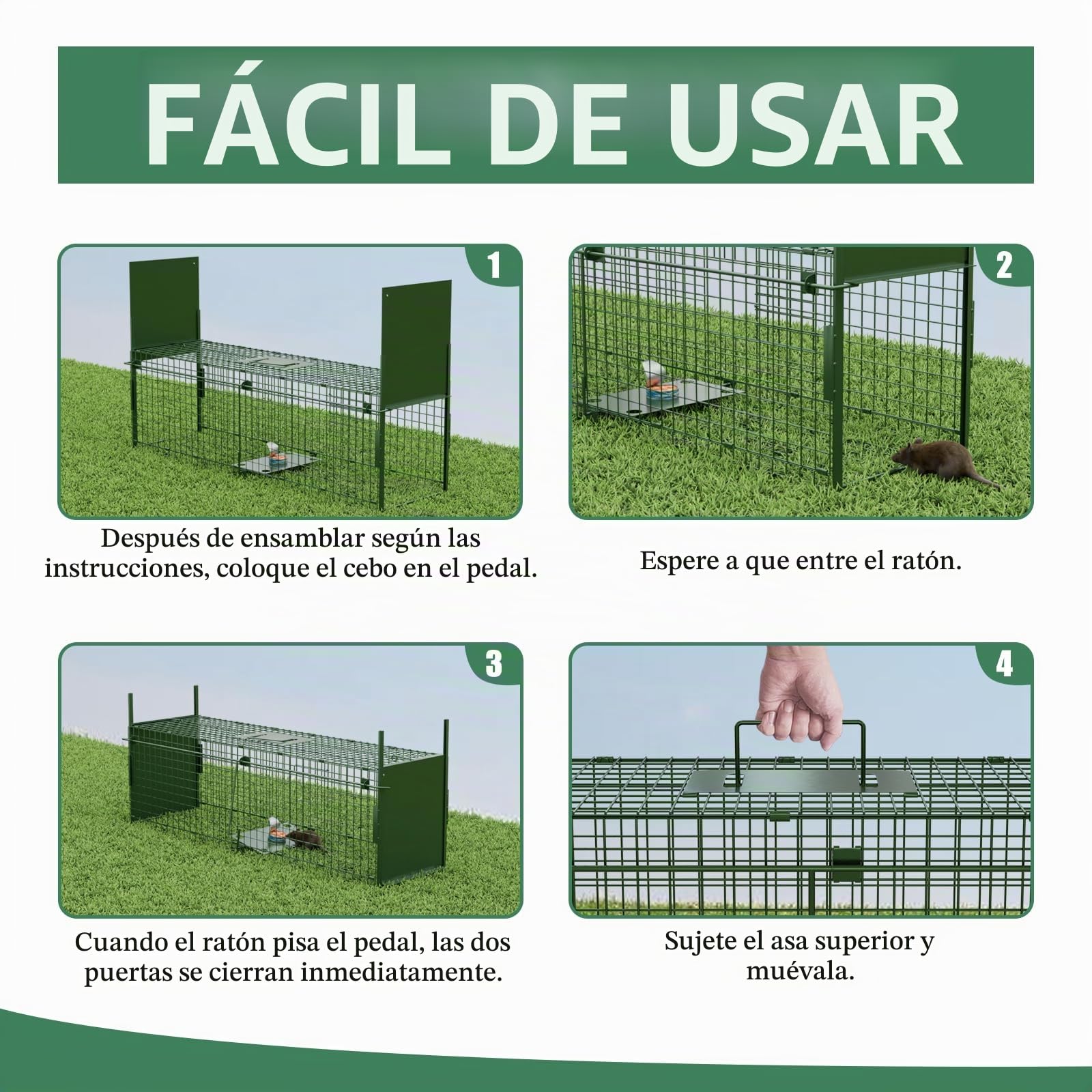Trampa Animales Vivos 100 X 29 X 31.5 cm Jaula Trampa Gatos Grande Trampa para Gatos