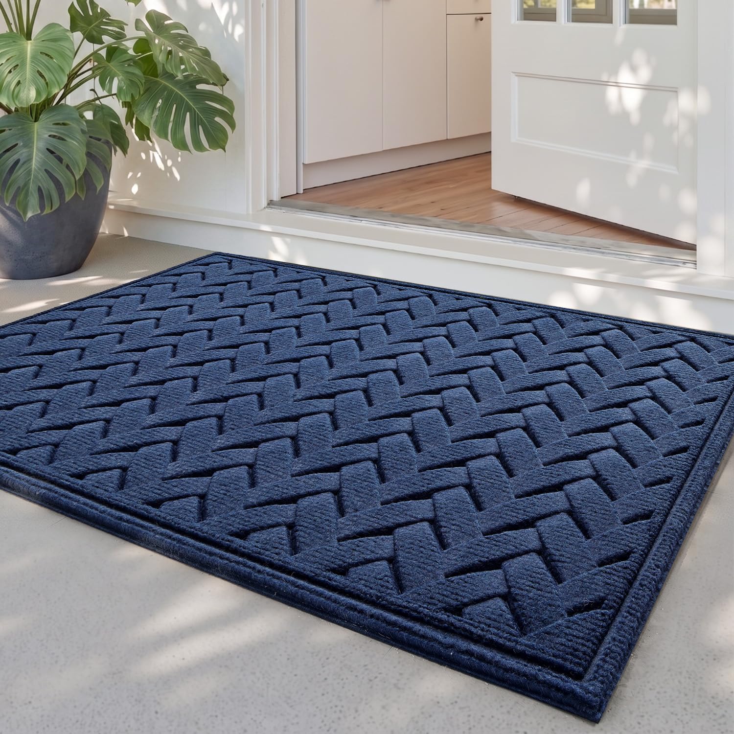 DEXI Wave Front Door Mat