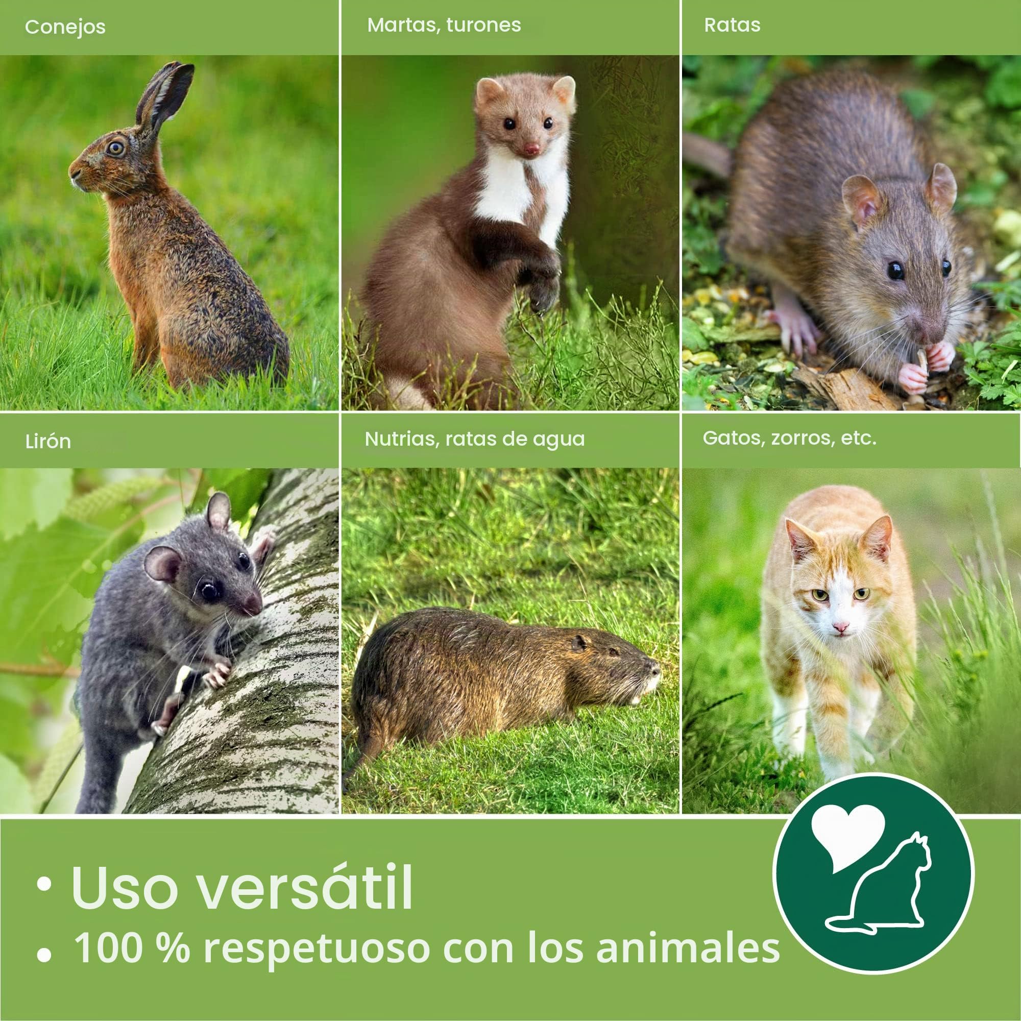 Moorland Trampa Viva XXL para martas con 2 entradas Reutilizable Caja Gatos | 100x25x25cm de animales para zorros estable y respetuosa ratas jaula captura Safe 5007