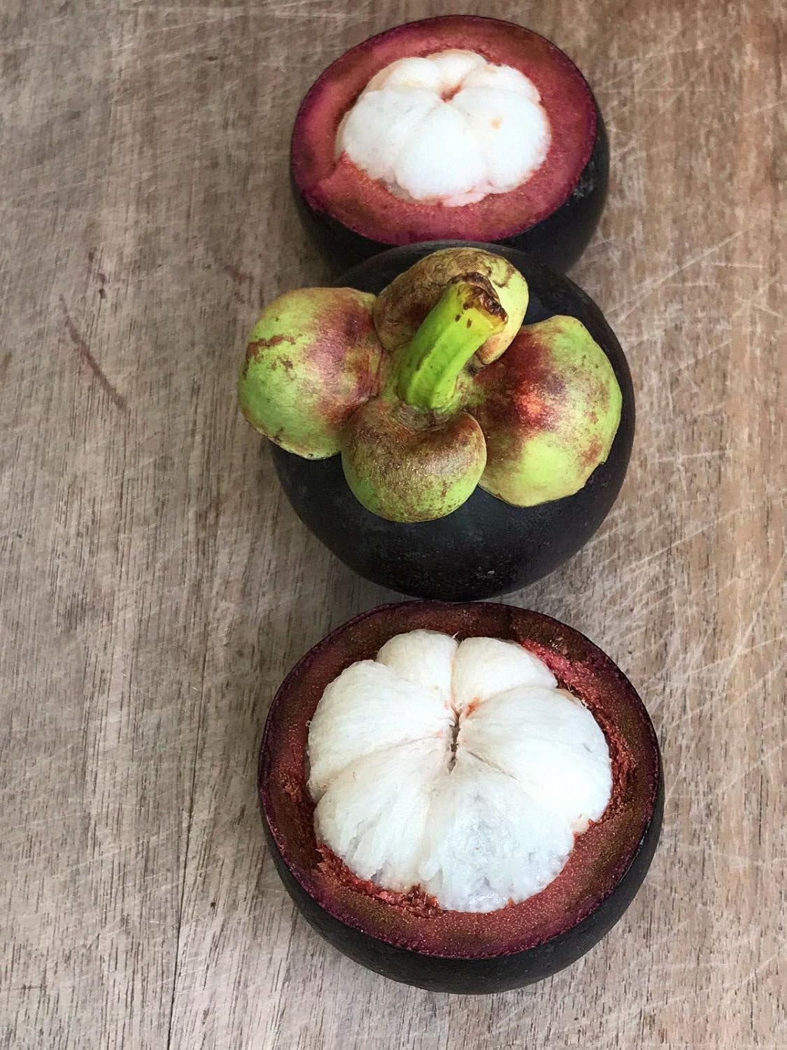 Amazon 有機種子だけでなく 植物 マンゴスチンガルシニアmangostana Ngのフルーツby Ferry ハーブ
