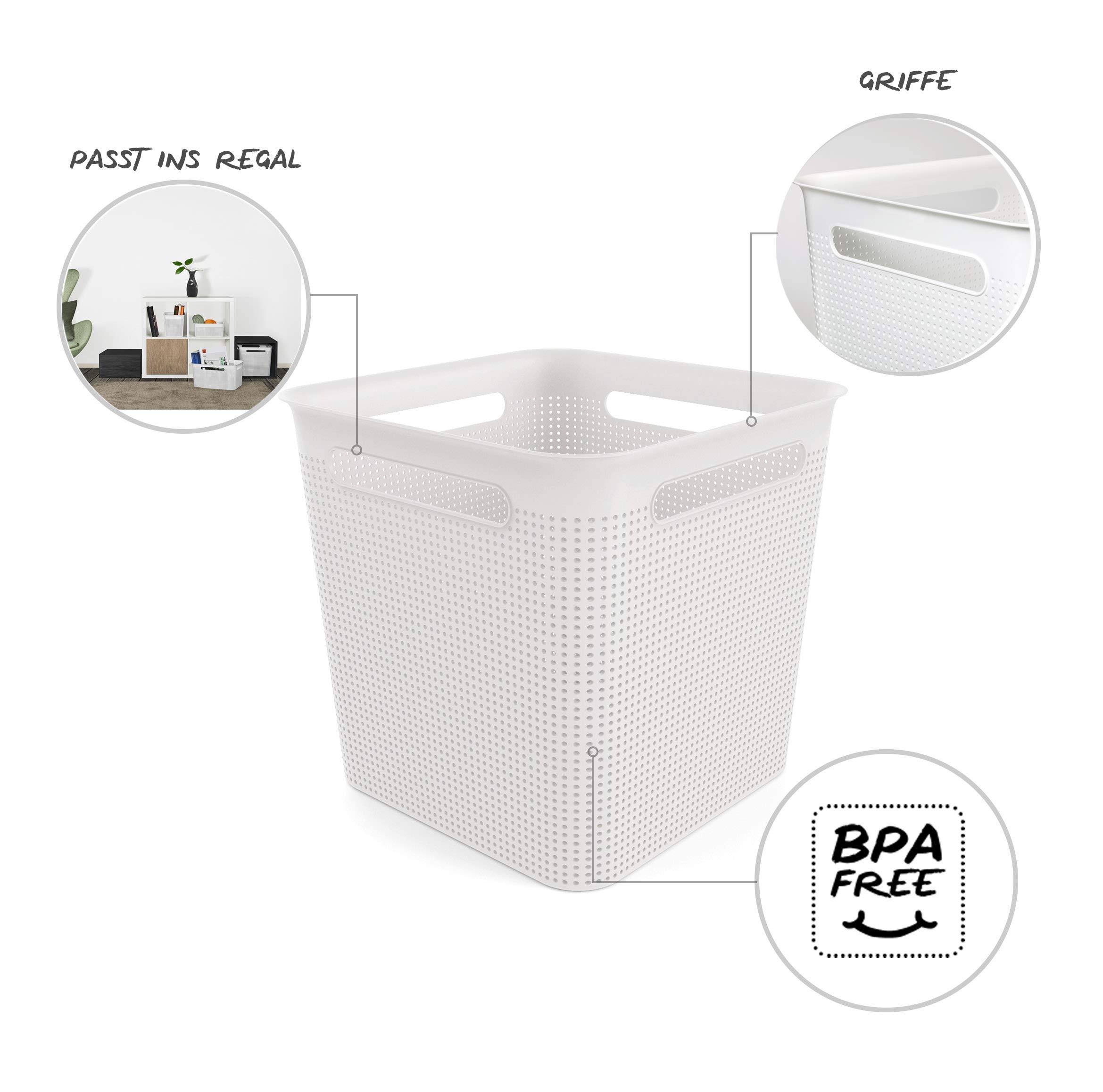 Rotho Brisen Scatola Quadrata con 4 Maniglie, Plastica (PP) senza BPA, Bianco, 18 L, 29.1 x 29.1 x 28.1 cm