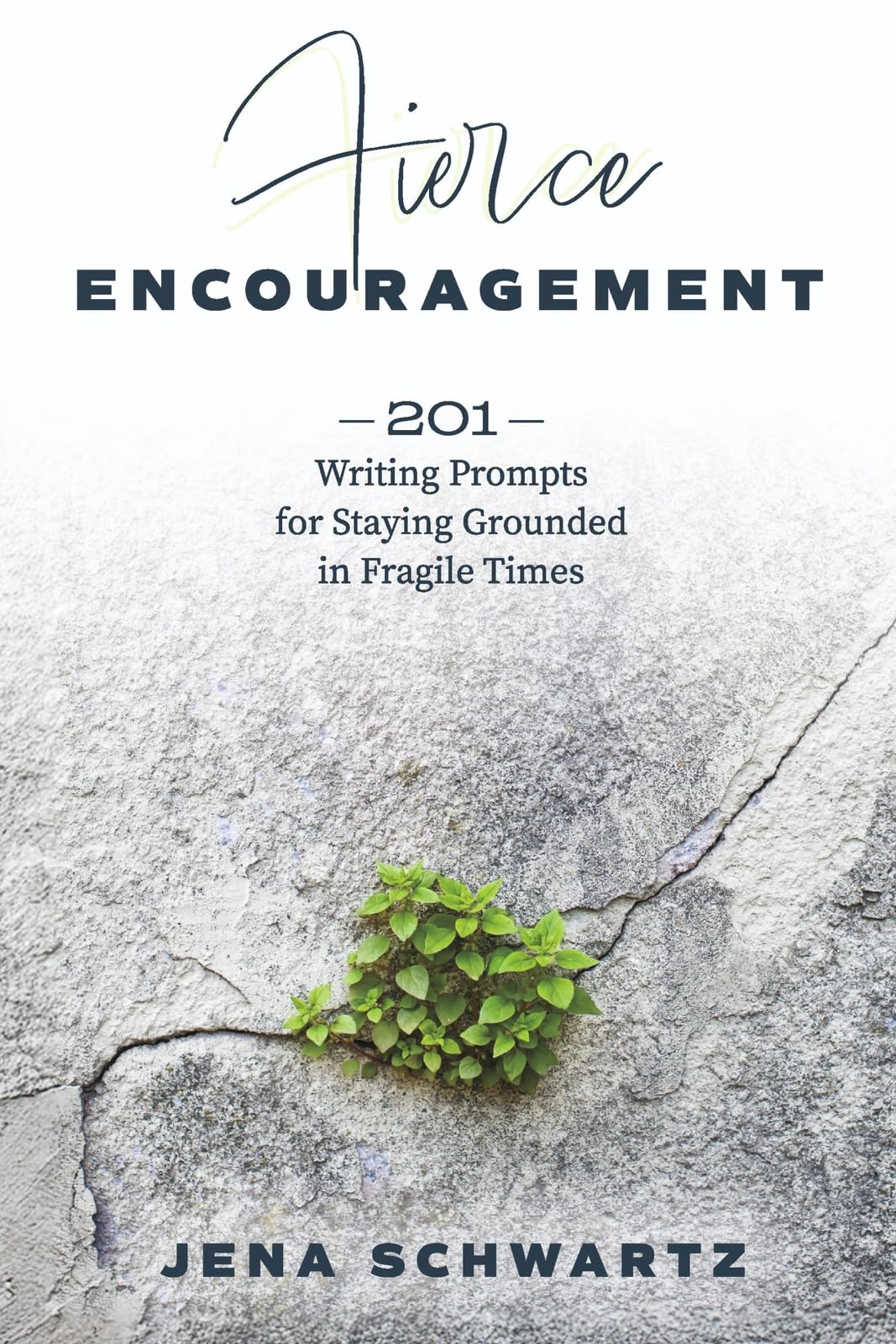 Fierce Encouragement: 201 Writing Prompts for Staying Grounded in Fragile Times
