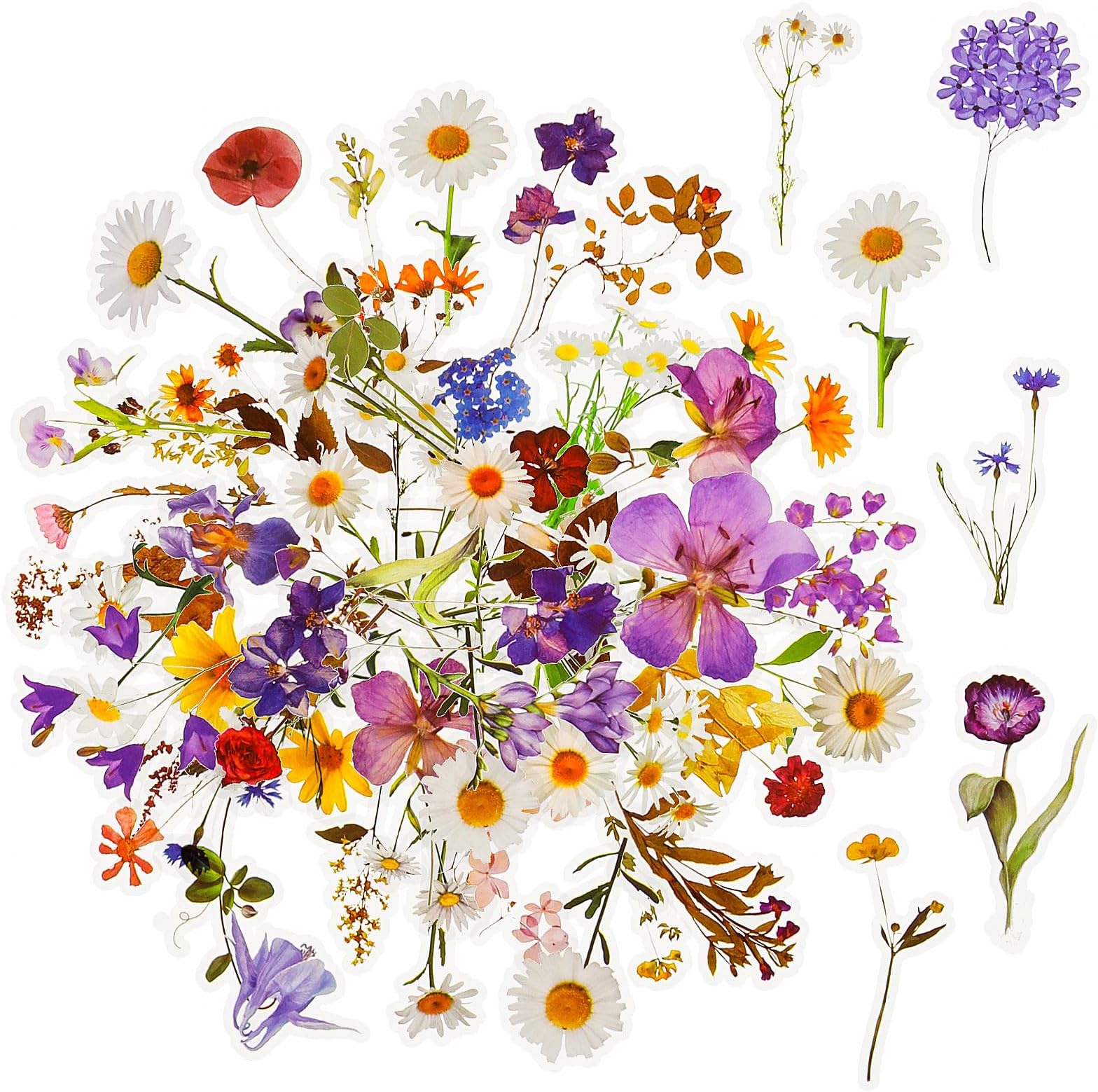120Pcs Transparent Flowers Aesthetic Scrapbook Stickers, Flower Stickers for Scrapbooking, Clear Floral Stickers Set for Scrapbook Supplies,Craft,Laptop, (60 Styles Daisy, Lavender, Lilac Series)