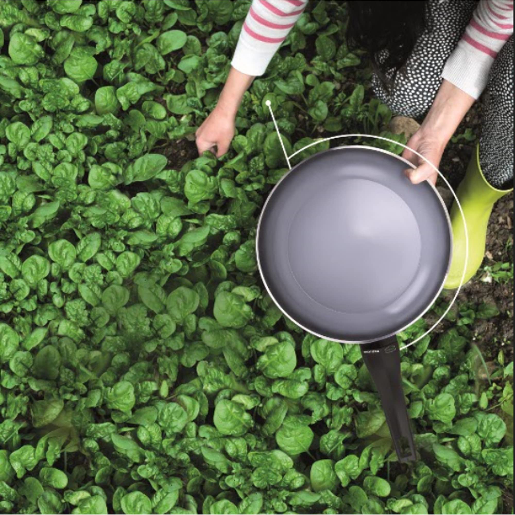 Moneta Aria Finegres Casseruola antiaderente naturale 20cm, anche per induzione, Made in Italy