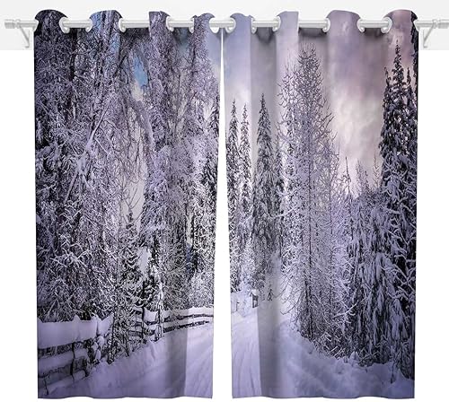 Miniatura 3 de Cortinas de fotografía escénica para habitación de 2 paneles de cortinas insonorizadas decoración de habitación oscura de 55 pulgadas de ancho x 55