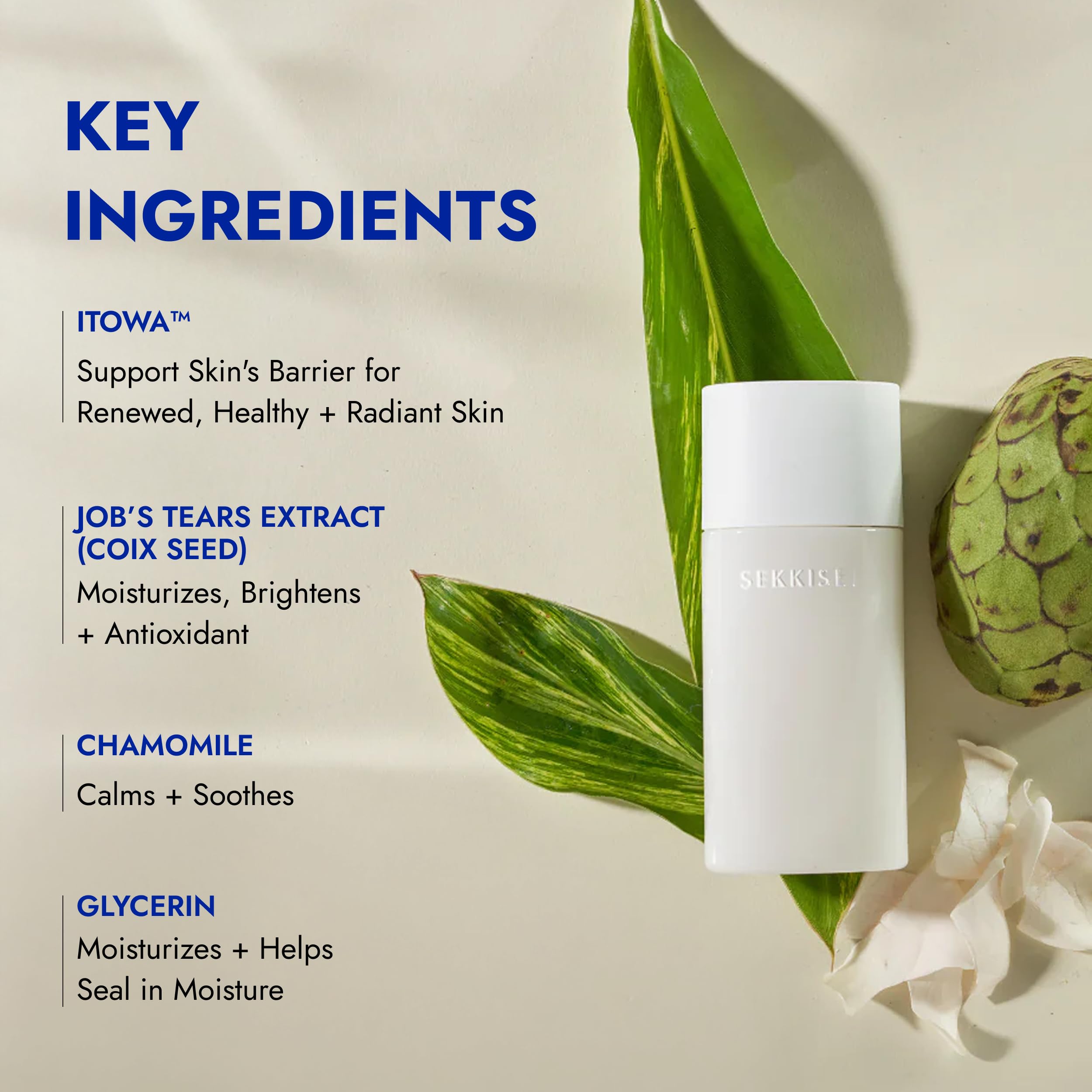 Amazon.com: SEKKISEI CLEAR WELLNESS Softening Milk N, Lightweight
