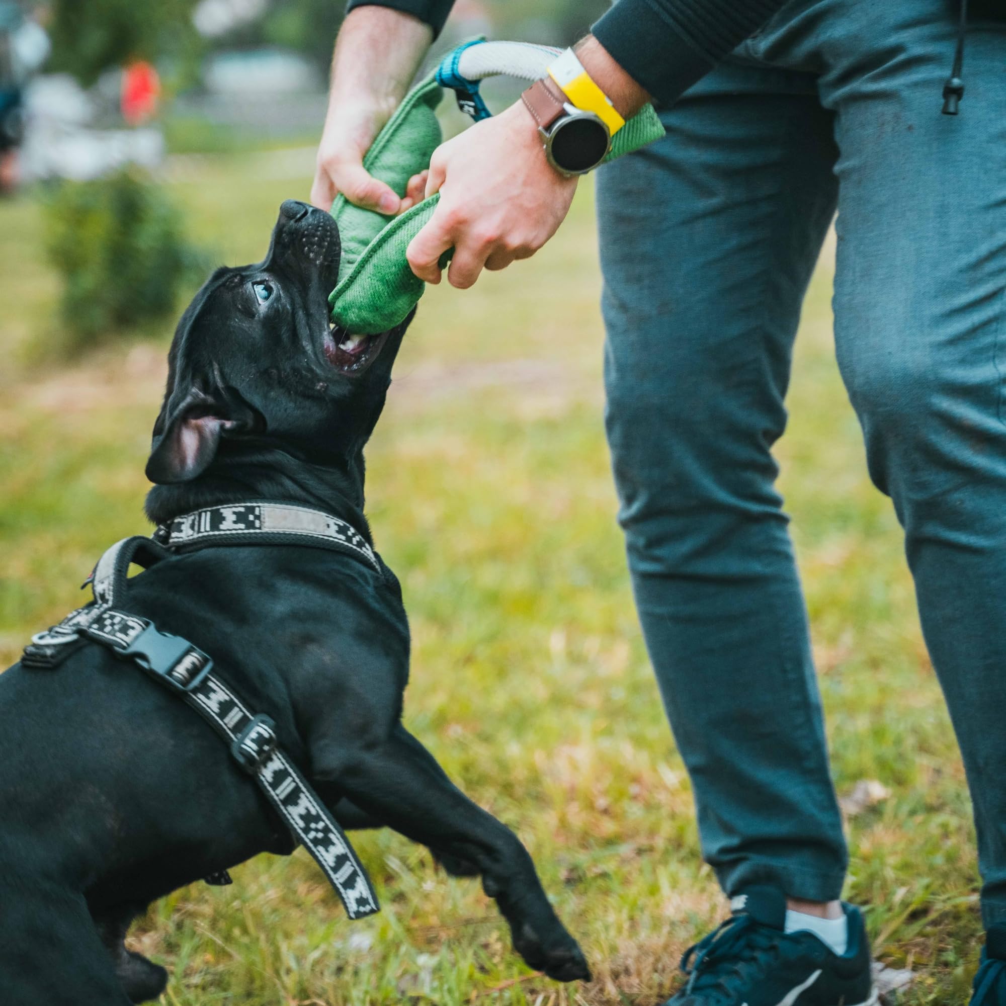Bull Fit Manicotto per Cani a Ferro di Cavallo 30 cm, Salsicciotto Molto Robusto per I'addestramento dei Cani, per il Tiro alla Fune e per i Giochi di Tiro alla Fune, Verde