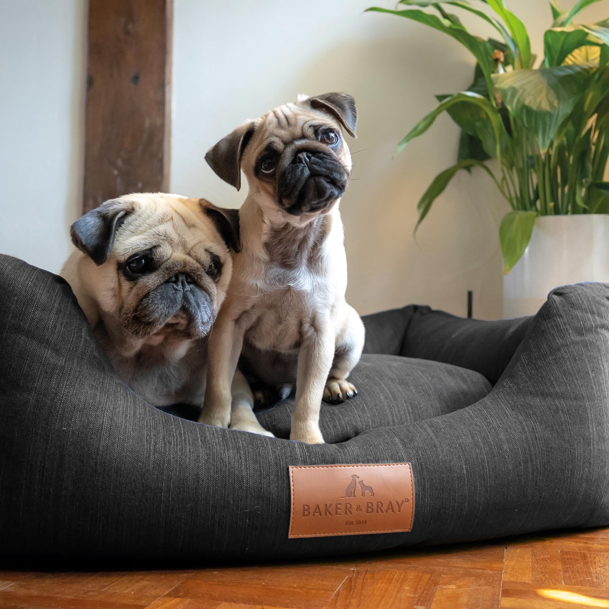 Baker and Bray - The Ultimate - Eco Friendly Orthopaedic Luxury Dog Bed. Handmade in Europe. Slate Grey (Small/Medium up to 14 kg).