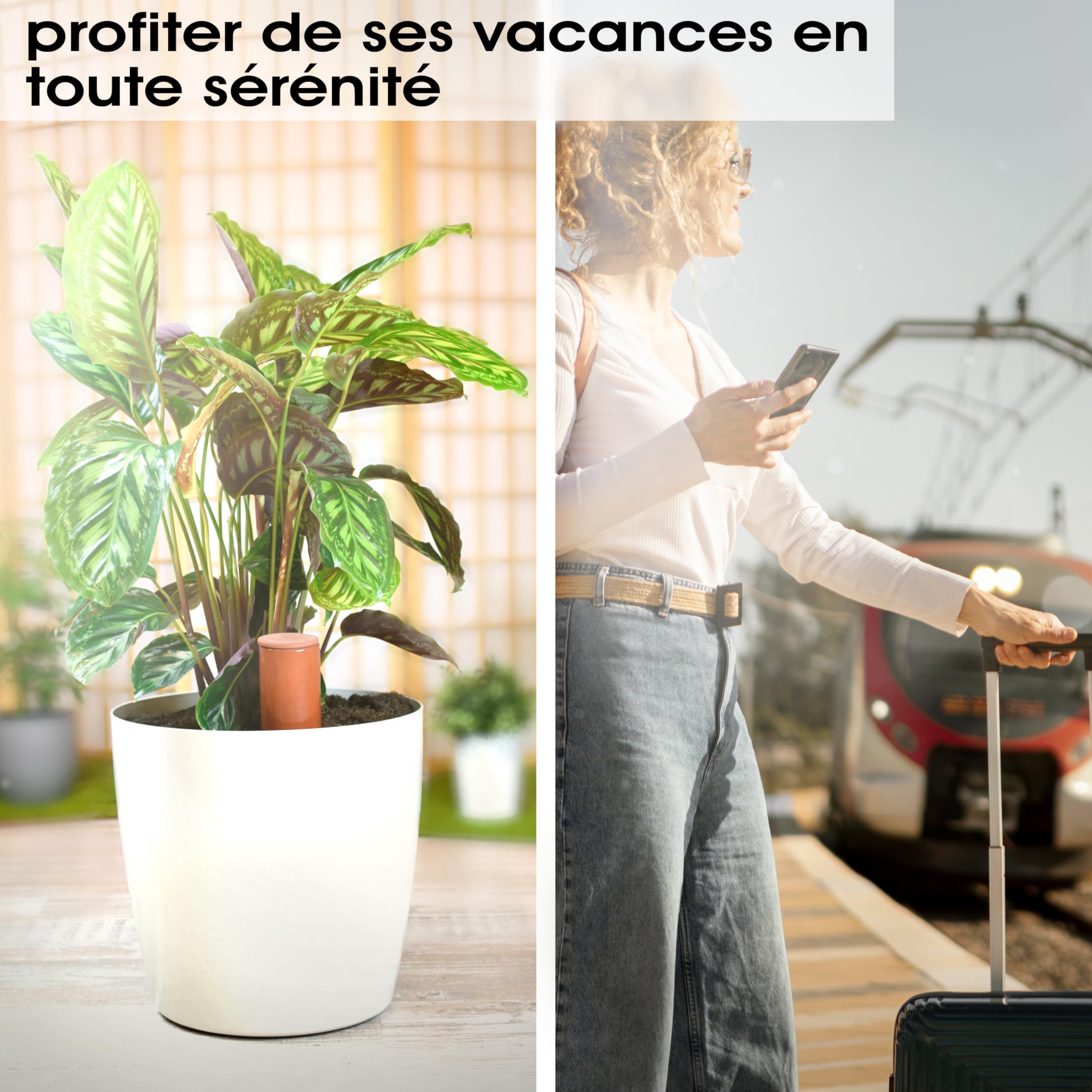 Arrosoir en terre cuite (2 x 530 ml) fait à la main pour arroser les plantes d'intérieur | Indicateur de niveau d'eau pour plantes | Watering can | Arrosoir pour plantes d'intérieur