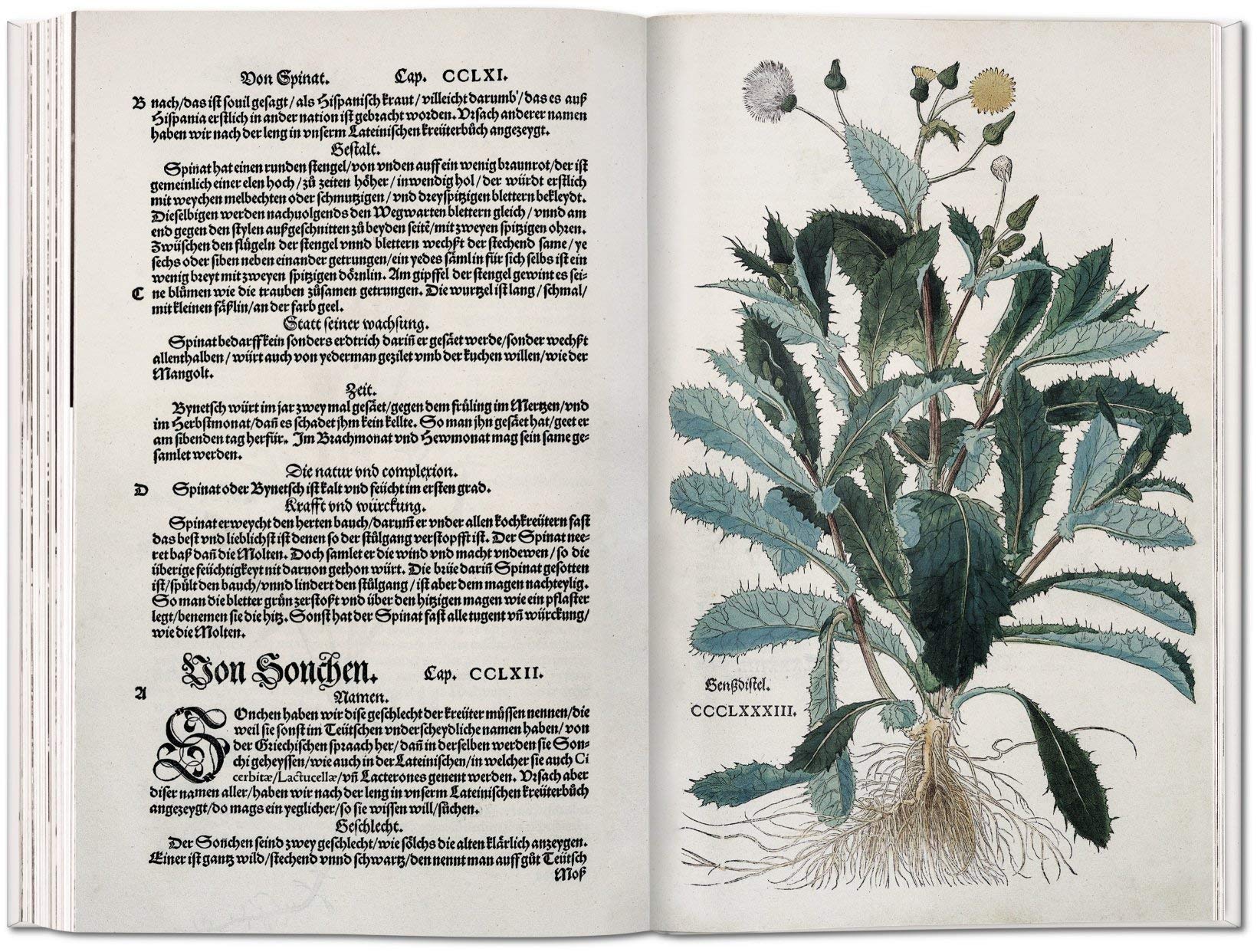 Leonhart Fuchs. Das Kräuterbuch von 1543
