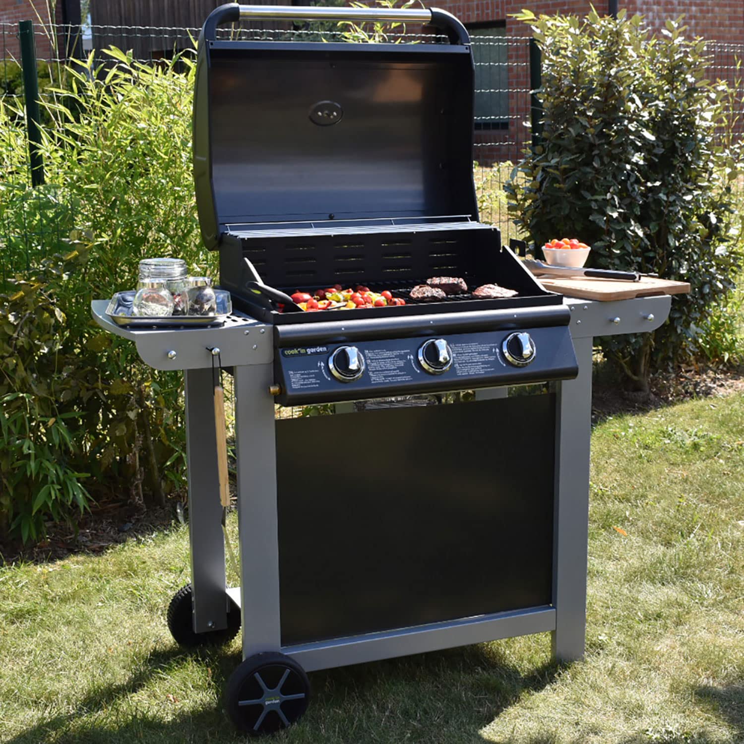 Cook' in Garden Barbecue Gas combinata a Coperchio Fiesta 3 Argento 81,5 x 51,5 x 29 cm am007t