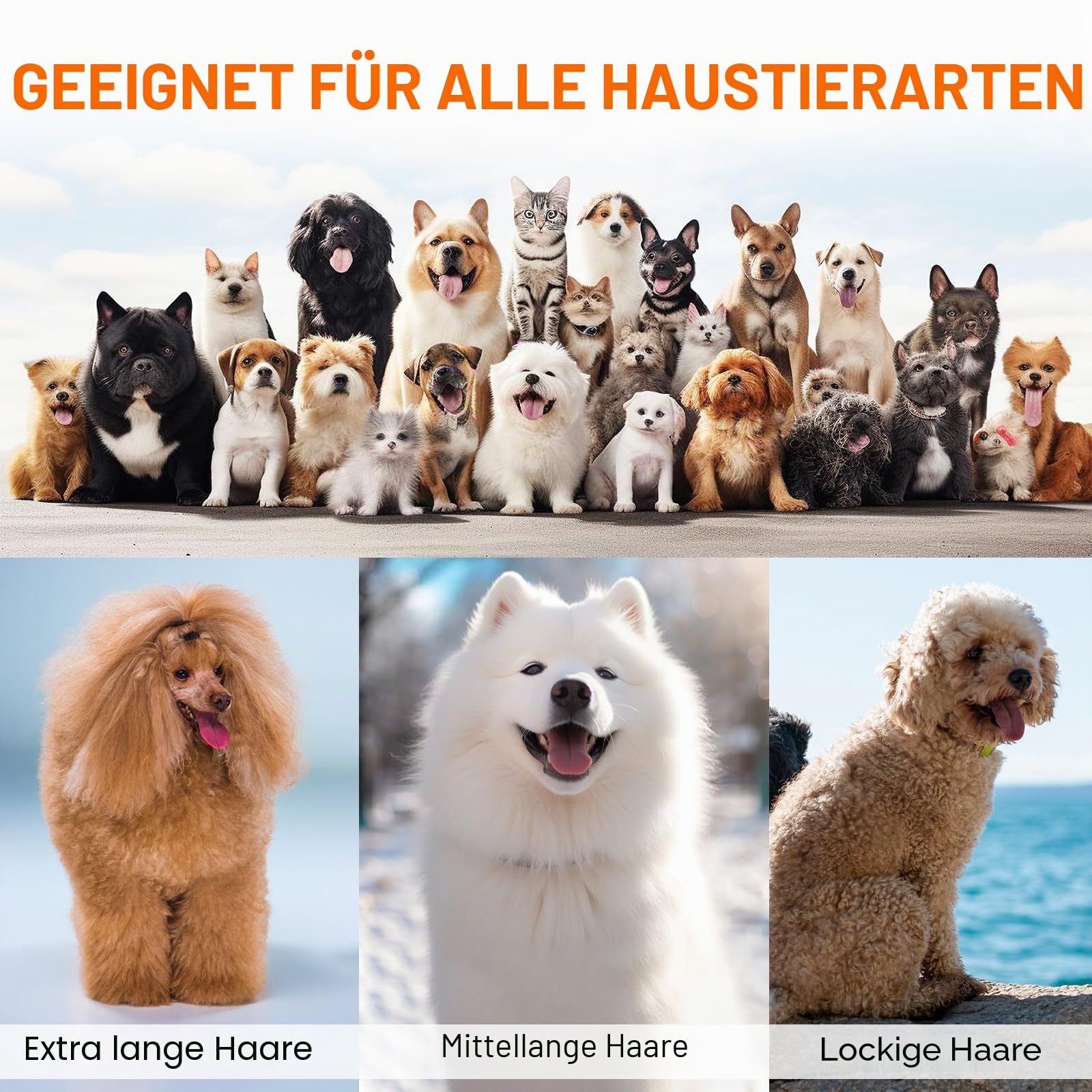 Hundepflege Vakuum Saug 99% Tierhaare PG10 Hundeschermaschine mit Staubsauger 12000 Pa, Hundebürste Tierhaarentferner für Hunde Katzen, Leise Schermaschine Hund mit Pflegewerkzeugen