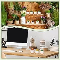 Vista 6 de Gerrii Macetas para suculentas, mini macetas de cerámica blanca con bandejas de madera y agujeros de drenaje para plantas, cactus, decoración
