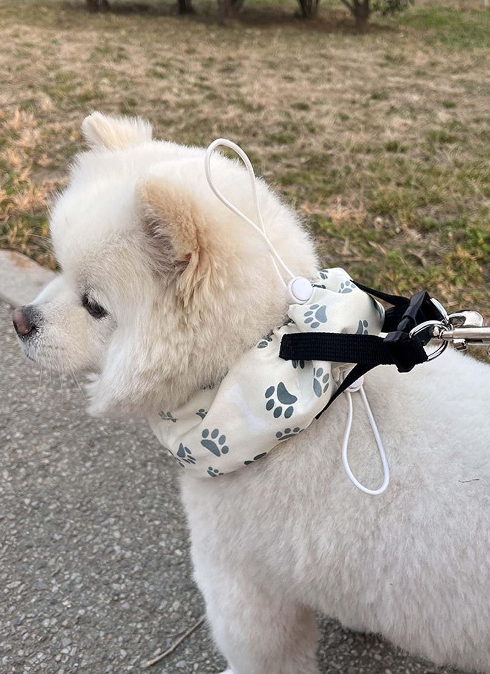 【S・M・L・LL可】犬用クールネック　ネッククーラー No.143　シーサー Amazon.co.jp: Hakona 犬 クールネックネッククーラー 首 冷やす