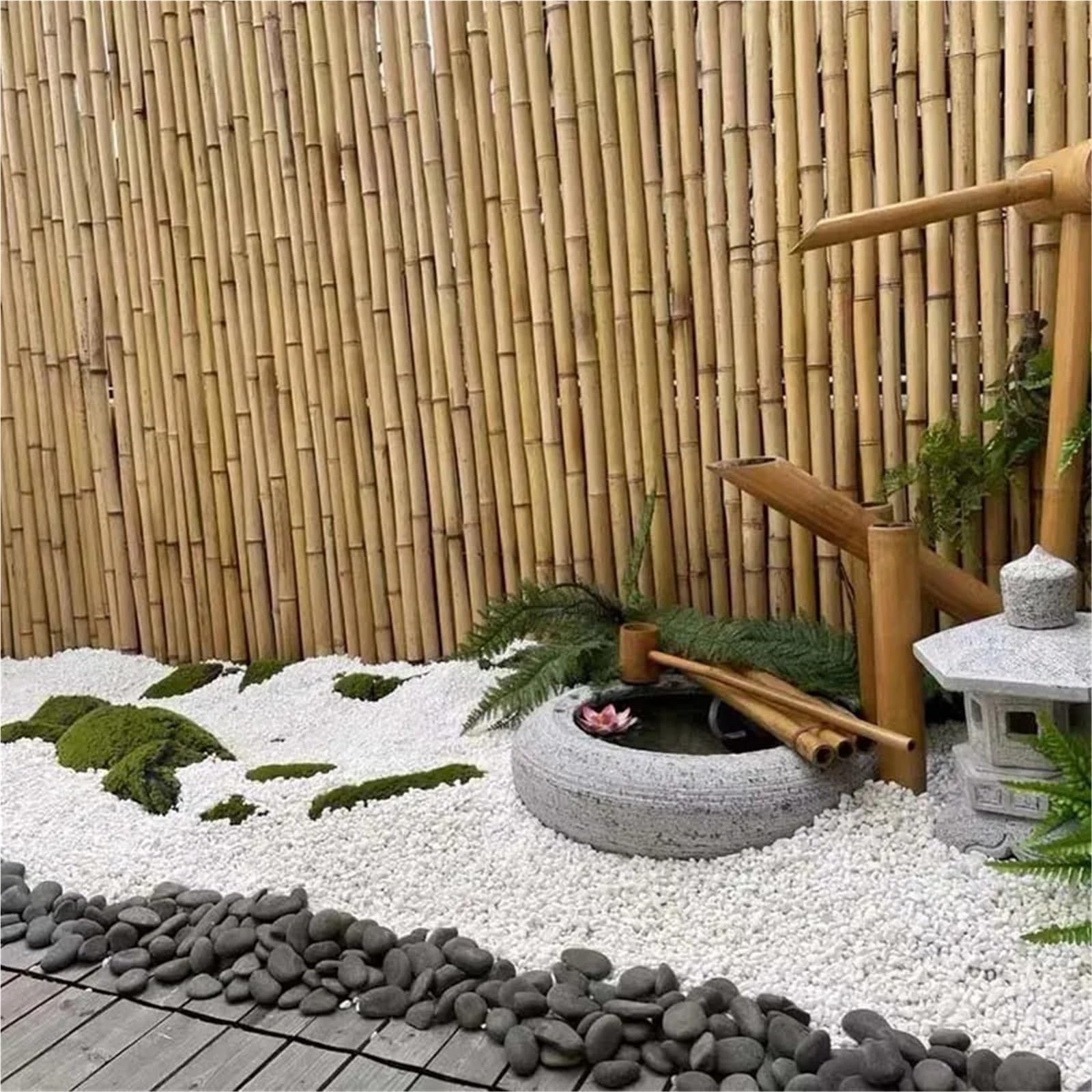 Pietre Decorative da Giardino Marmi di ciottoli for succulenti Bonsai Acquario Vaso pianta Piccola Pietra Home Garde(4-6cm)