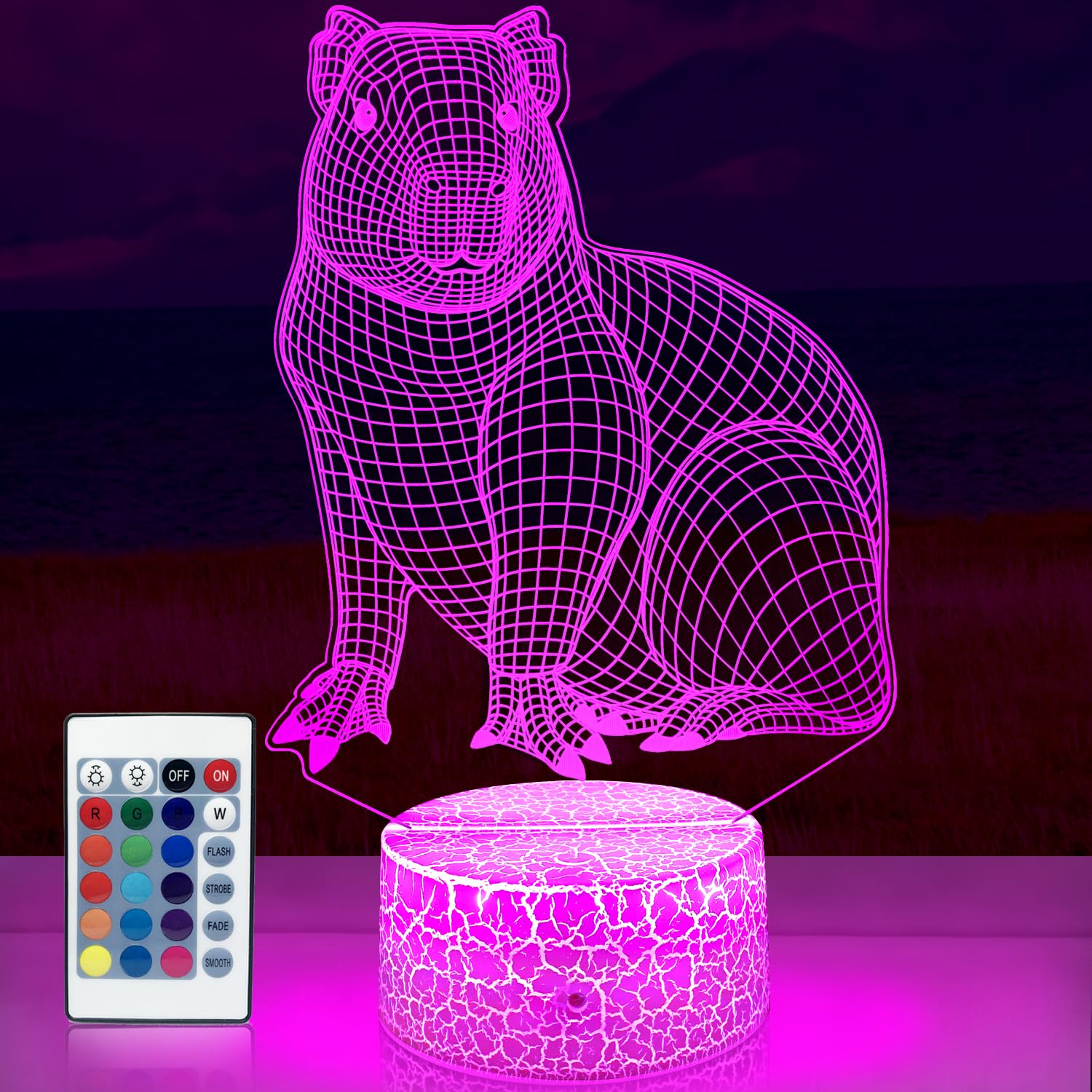 Capybara Night Light for Kids Cute Capybara Theme Illusion Lamp for Party with Remote and Touch Control 16 Colors Changing Table Bedroom Decor Nightlight Birthday Christmas Gifts for Boys /Girls