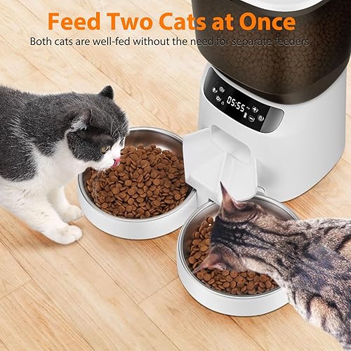 Miniatura 5 de Alimentador automático para gatos y fuente de agua, dispensador de alimentos secos para gatos con temporizador, 10 segundos, 20 porciones, 6 comidas