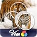 Venn Tigers: Overlapping Jigsaw Puzzles