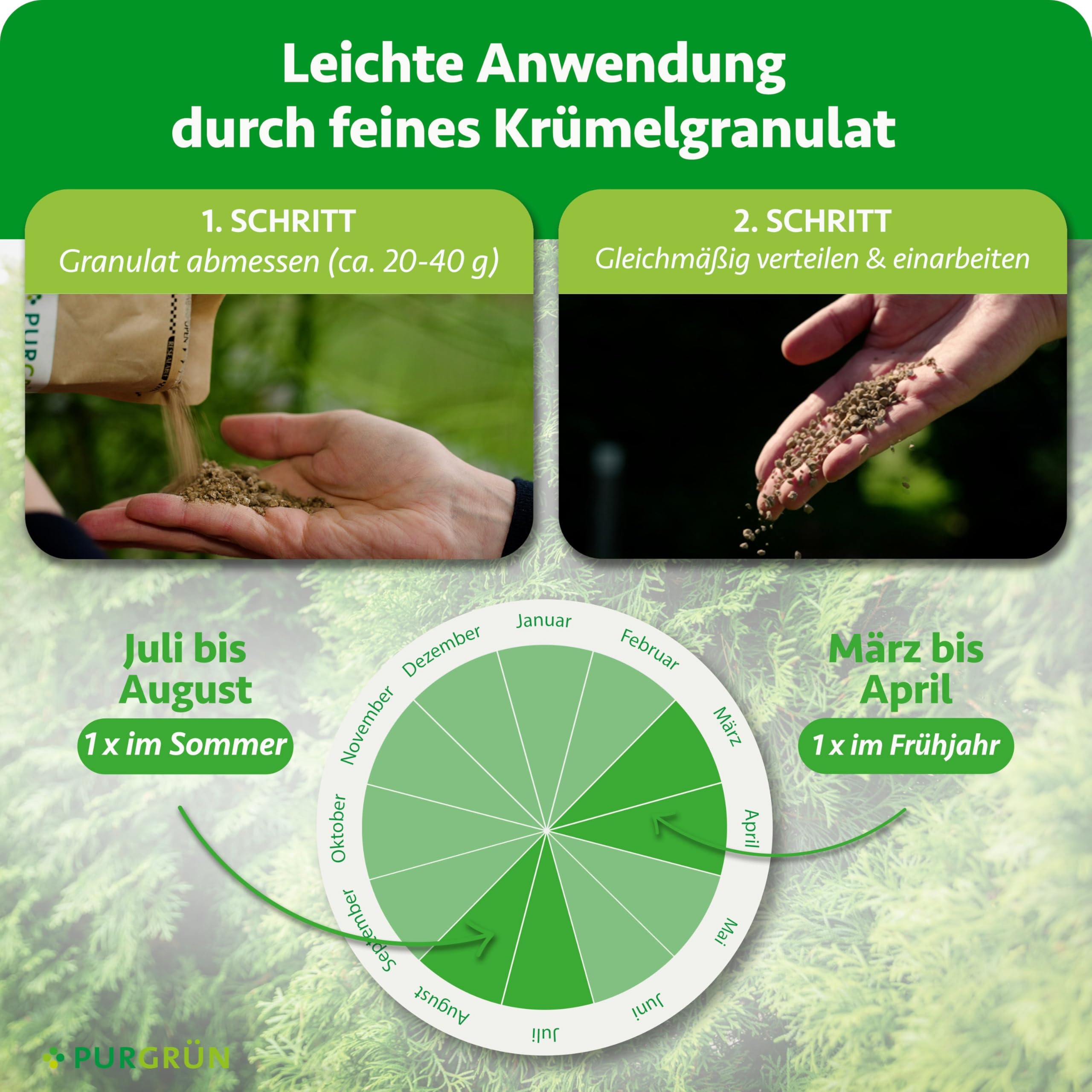 Thuja-Smaragd-Dünger 1 kg – Extra Magnesium schützt vor Nadelverfärbungen – Fördert ein dichtes Wachstum – Tonmineralien für einen gesunden Boden – Heckendünger für ca. 30 Pflanzen